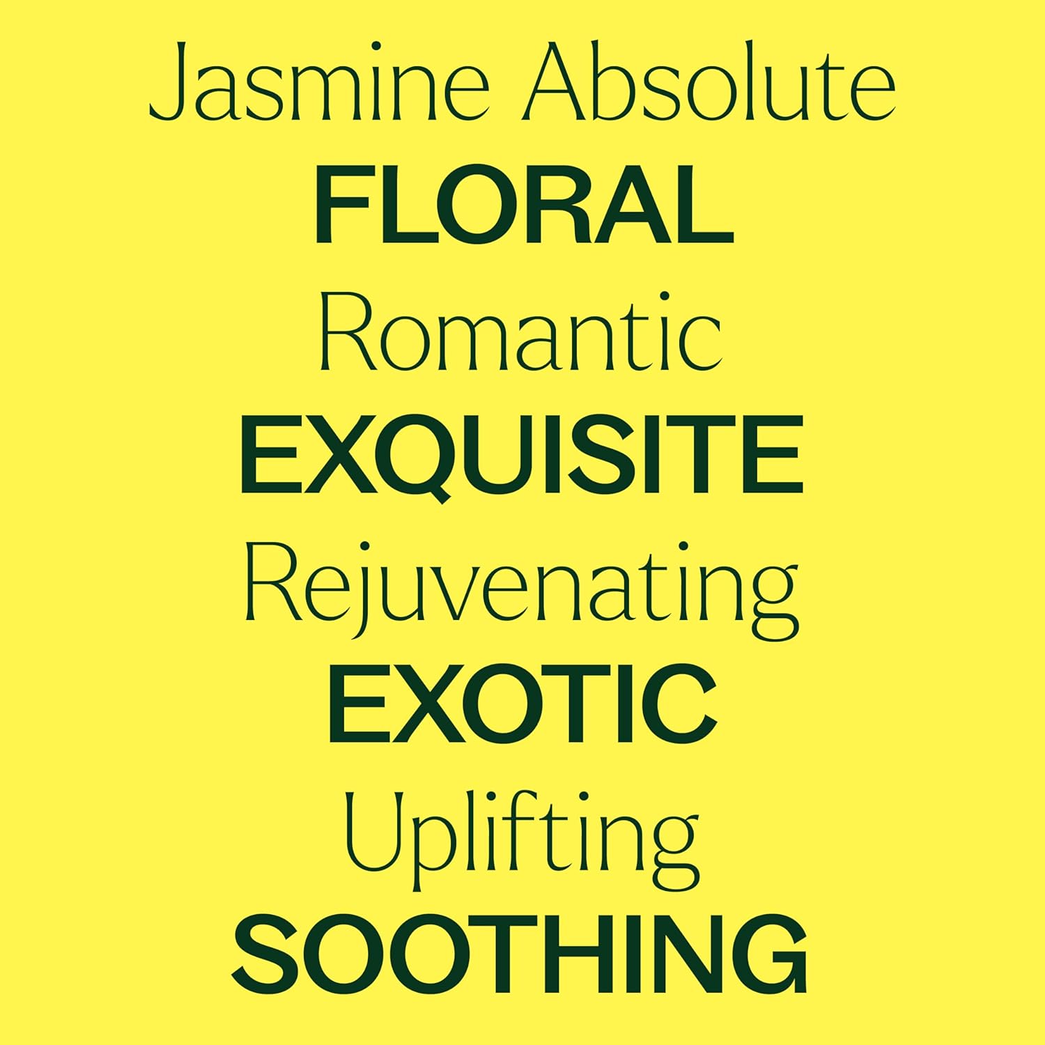 Plant Therapy Jasmine Sambac Absolute Essential Oil, 2.5 mL (1/12 oz), 100% Pure and Undiluted, Great for Skin Care DIYs and Aromatherapy