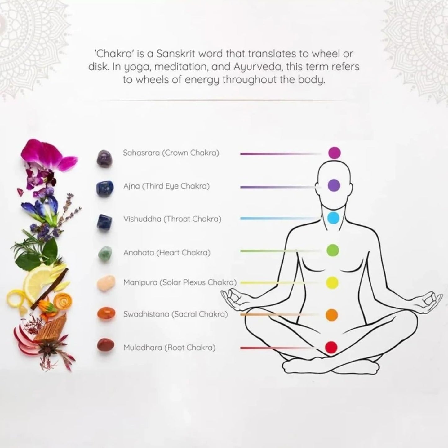 7 Chakra Incense Brick Super Set by Aromafume | 63 bricks & Tree of Life Exotic Burner | Smokeless Incense Set for Chakra Balance | Yoga & Meditation Gifts | Incense Kit for Plexus, Root Chakra & more