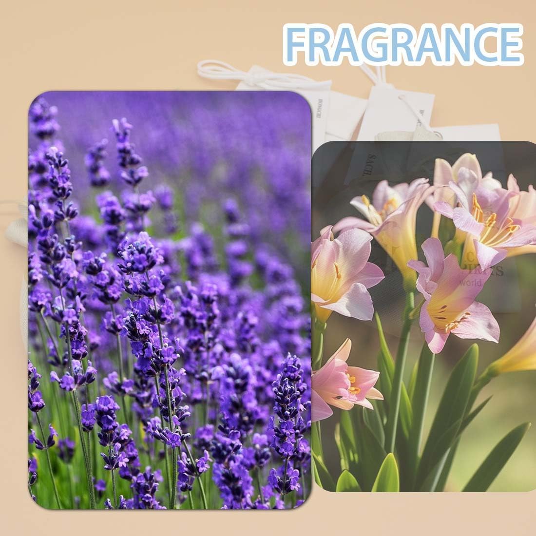 6-Pack Fresh Scented Sachet Packet, Air Freshener Bags for Drawers, Closets, Cars, Long-Lasting Sachet Bag Room Car Odor Deodorizer Fresh Scent, English Pear Freesia and Lavender