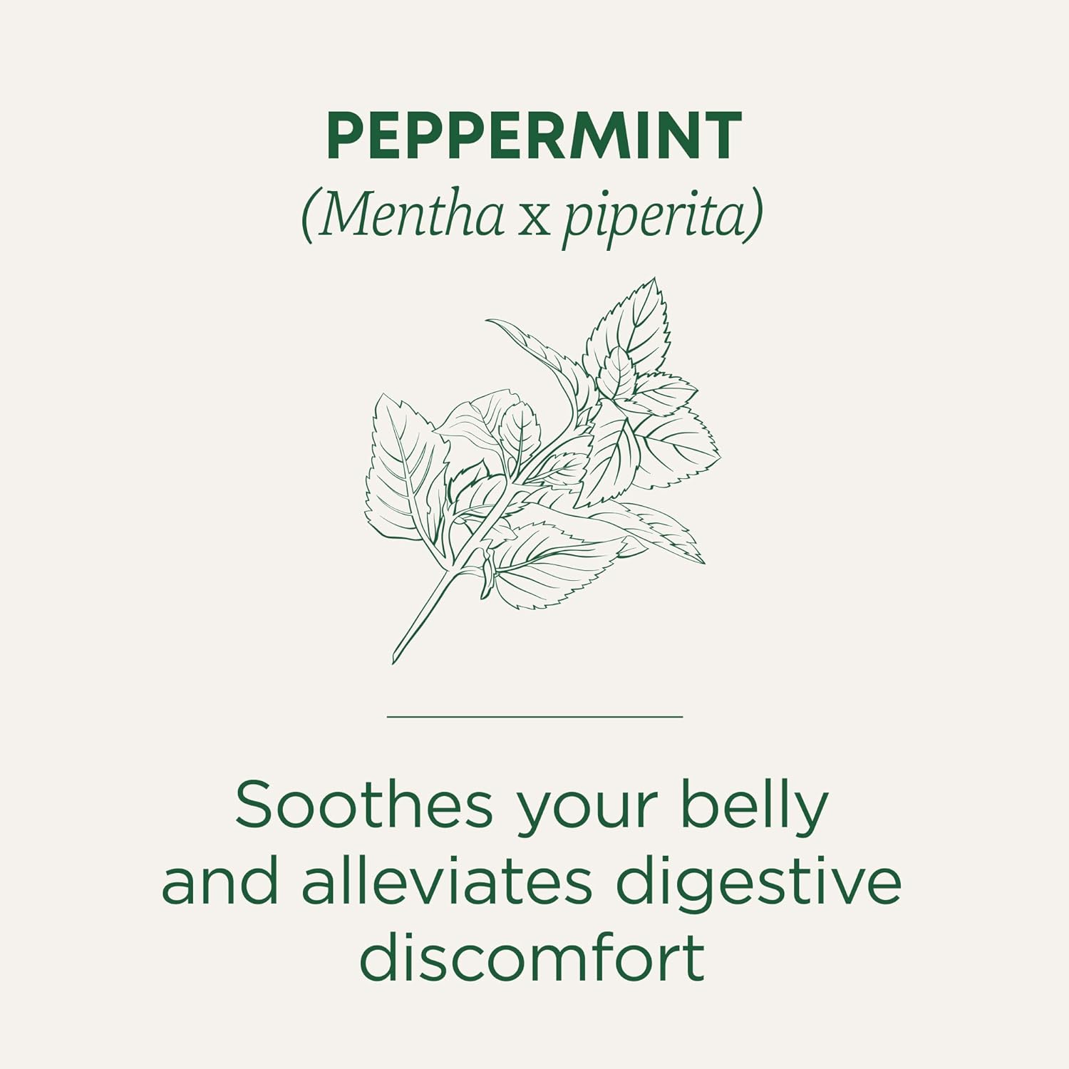 Traditional Medicinals Organic, Peppermint Tea - Helps Soothe Belly from Occasional Gas and Bloating - Kosher, Non-GMO, Caffeine-Free, Compostable - 16 Tea Bags
