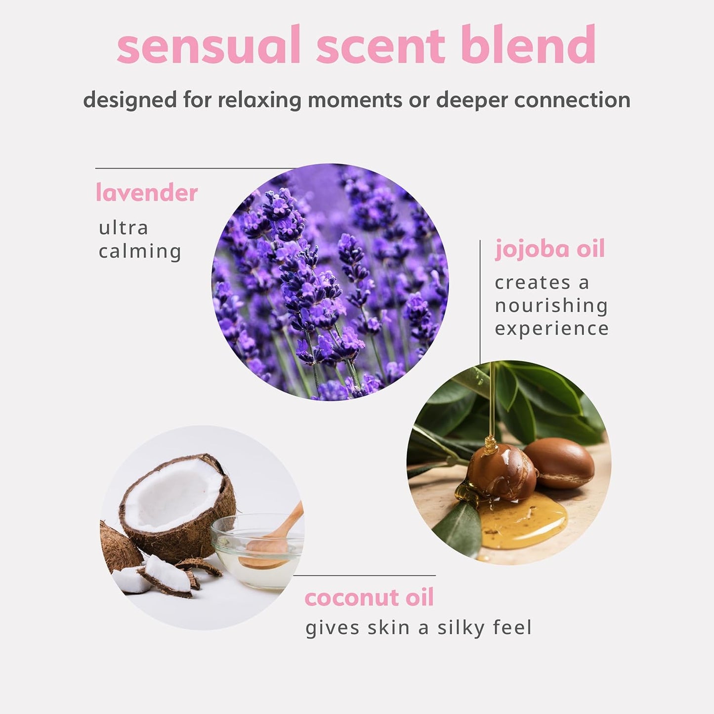 plusOne Sensual Body Oil – Lavender Vanilla Massage & Intimate Oil – Plant-Based Blend with Coconut, Jojoba & Sweet Almond Oil – Vegan & Cruelty-Free – 2 fl oz