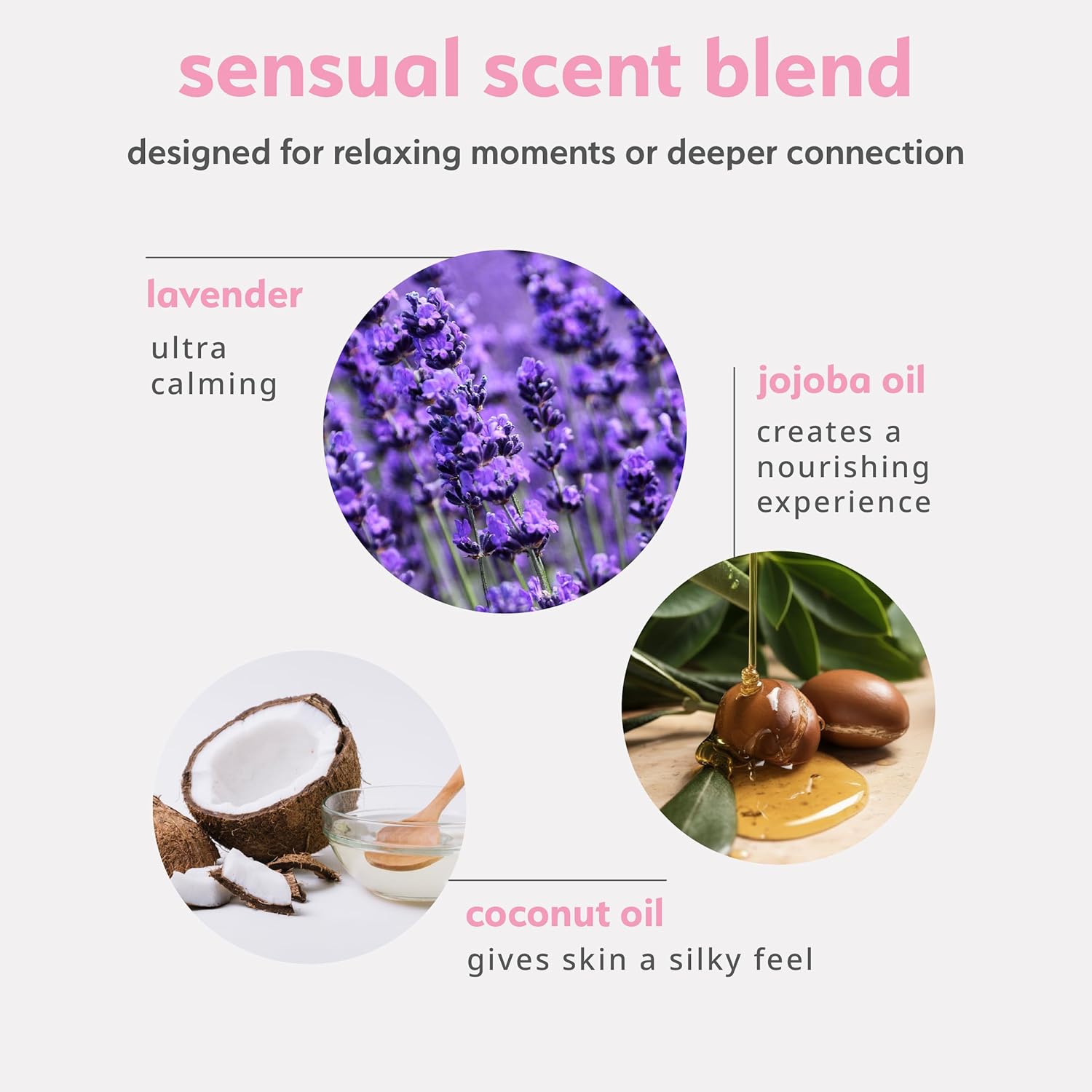 plusOne Sensual Body Oil – Lavender Vanilla Massage & Intimate Oil – Plant-Based Blend with Coconut, Jojoba & Sweet Almond Oil – Vegan & Cruelty-Free – 2 fl oz