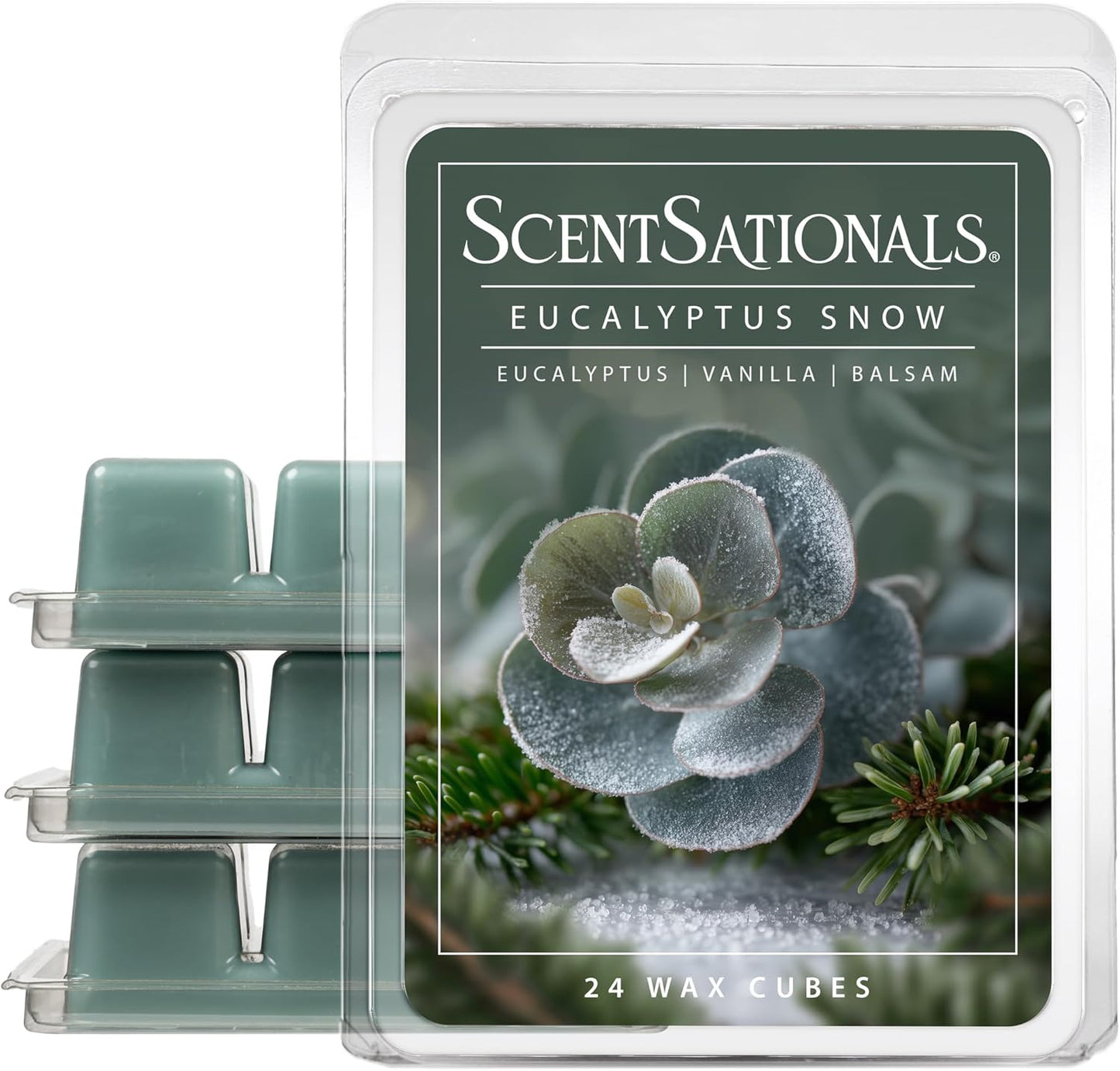 Scentsationals Eucalyptus Snow Scented Wax Melts - Eucalyptus, Vanilla, & Balsam, 10oz (24 Cubes)
