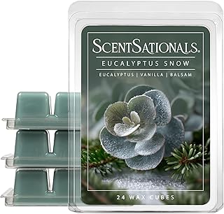 Scentsationals Eucalyptus Snow Scented Wax Melts - Eucalyptus, Vanilla, & Balsam, 10oz (24 Cubes)
