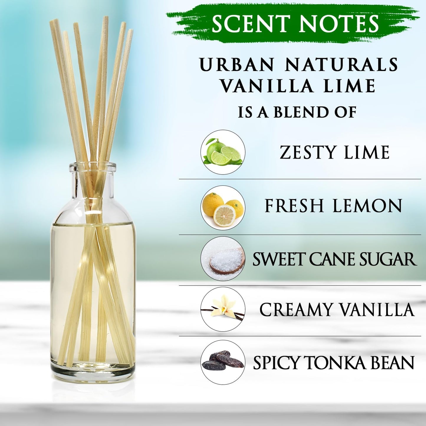 Urban Naturals Vanilla Lime Reed Diffuser Set | Made with Essential Oils | Zesty Lime, Sweet Cane Sugar, Creamy Vanilla & Tonka Bean | Made in the USA