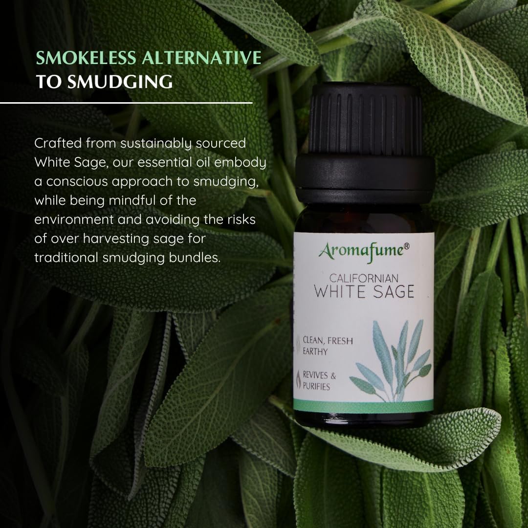 White Sage, White Sage with Lavender & Rose Essential Oil Diffuser Blend by Aromafume | 3 x 10ml | Essential Oil Blend | Smoke-Free, Non Toxic Alternative to Smudging