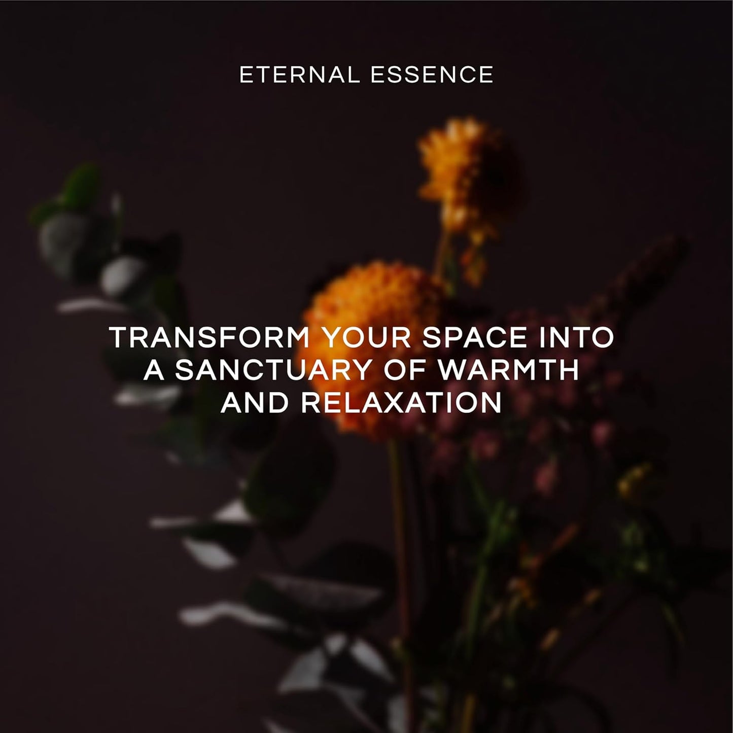 Eternal Essence Oils Beach Set of 6 Premium Fragrance Oils - Includes White Sand, Ocean Breeze, Honolulu Sun, Mermaid, Caribbean Escape, and Sun & Sand Scented Oils - 10ML