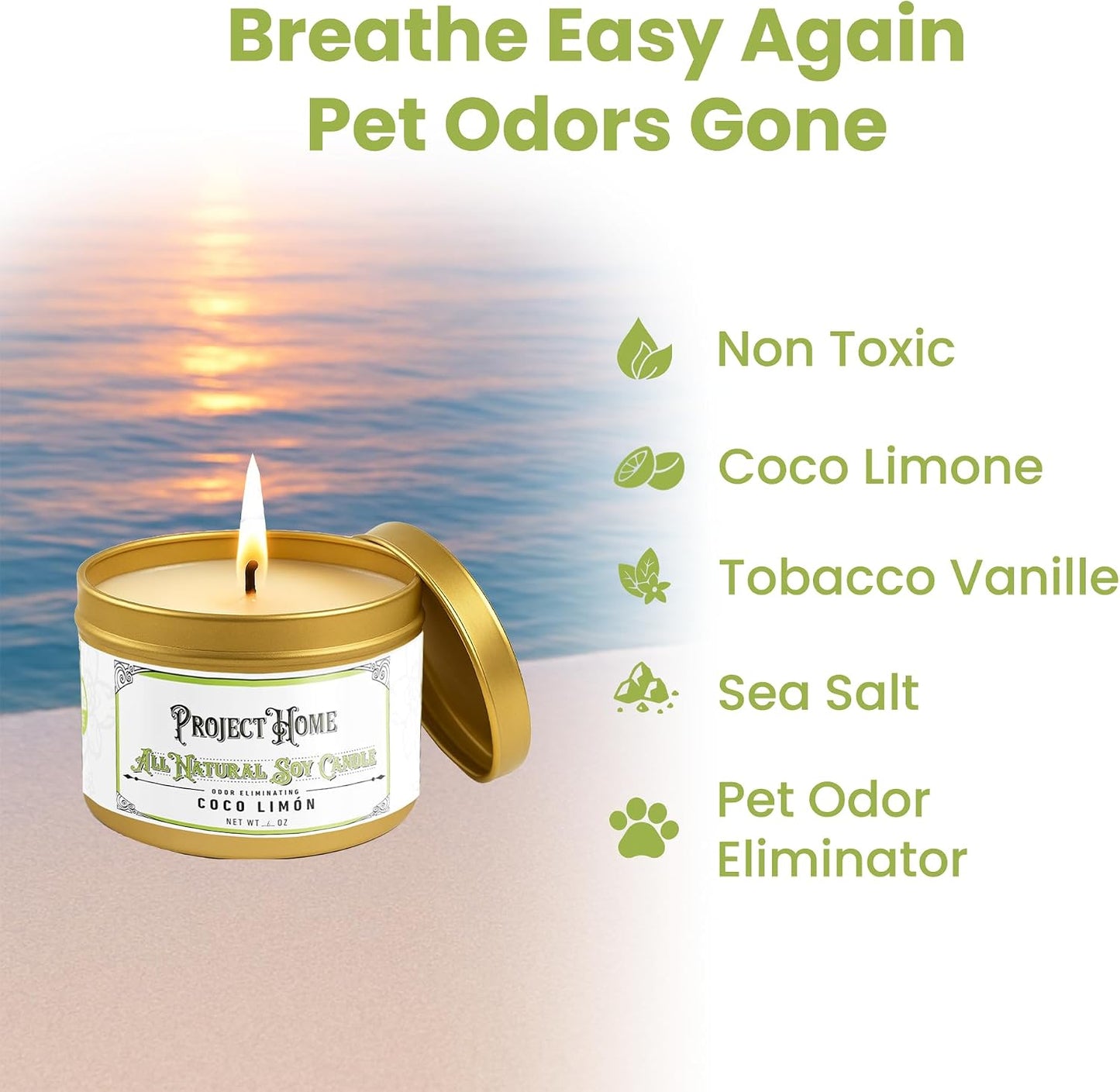 Coco Limone Pet Odor Eliminator Candle, Coconut Lime Scent, 6oz, Eco-Friendly Soy Wax, Made in USA, Pet-Safe, Natural Odor Removal Candle, Non-Toxic, Phthalate-Free, Cotton Wick