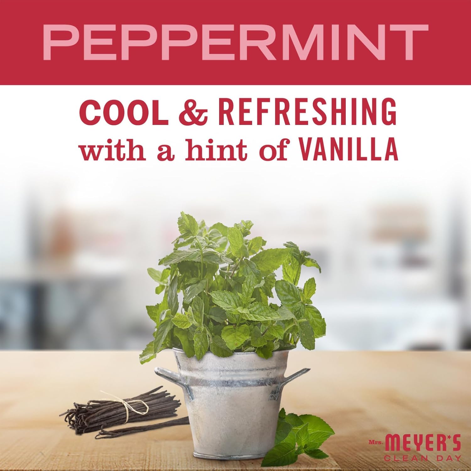MRS. MEYER'S Room FRESHENER Variety Pack Variation (Gingerbread + Peppermint)