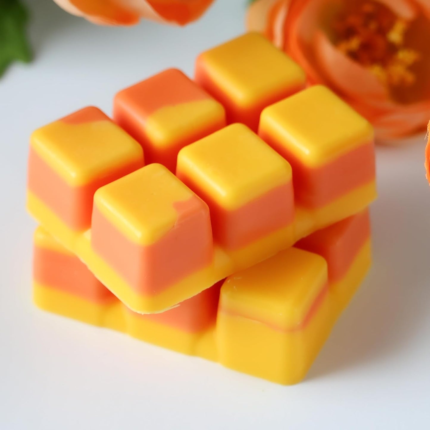 Pearfection Wax Melts Clamshell, Pear Apple Cream Caramel Praline Scented Coconut Tarts, Summer Home Fragrance, Mothers Day Gift