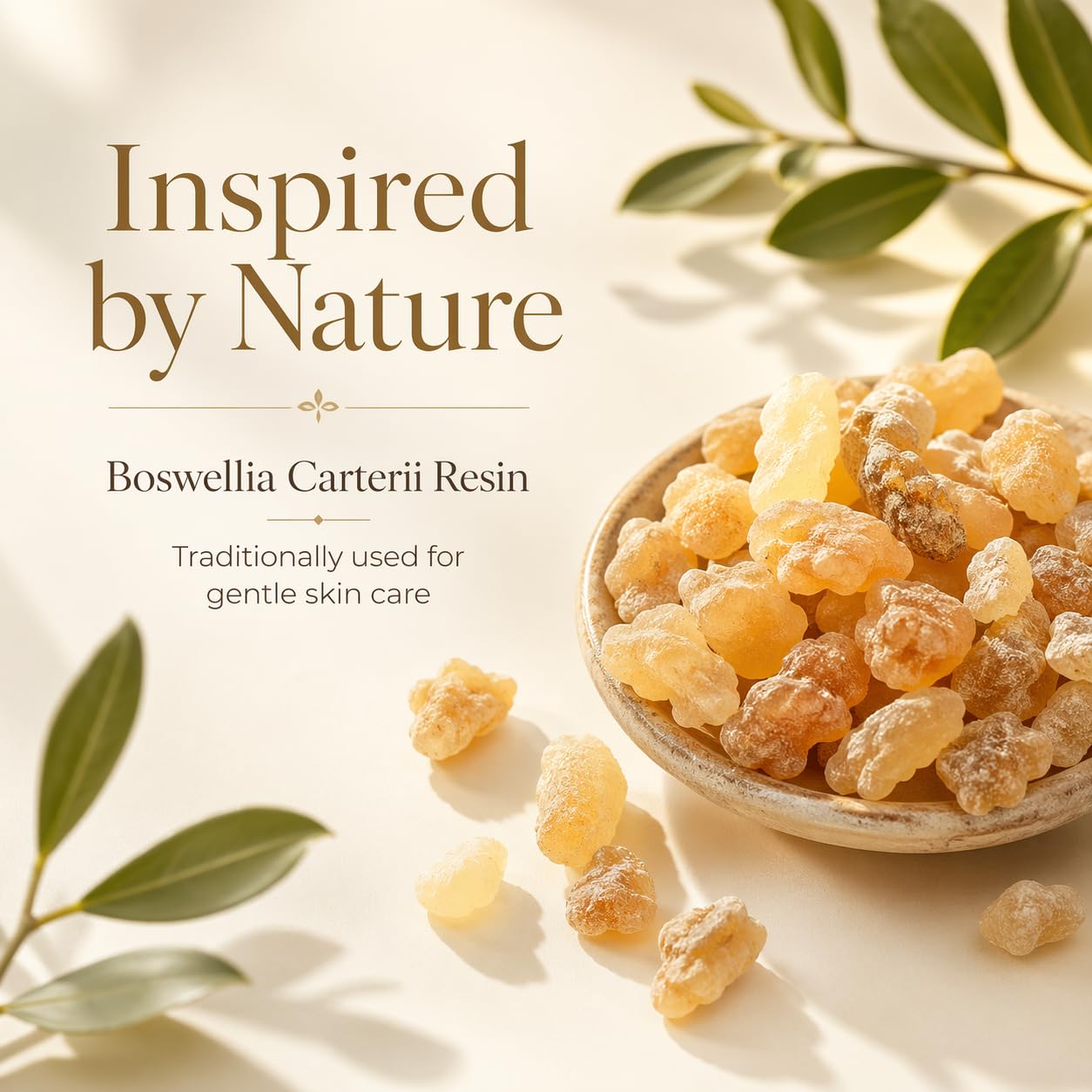 Frankincense Resin Oil for Face & Skin, 100% Pure & Natural, Steam Distilled Boswellia Carterii, Hydrating Face Oil for Women, Aromatherapy & Daily Skincare, 2.02 fl oz