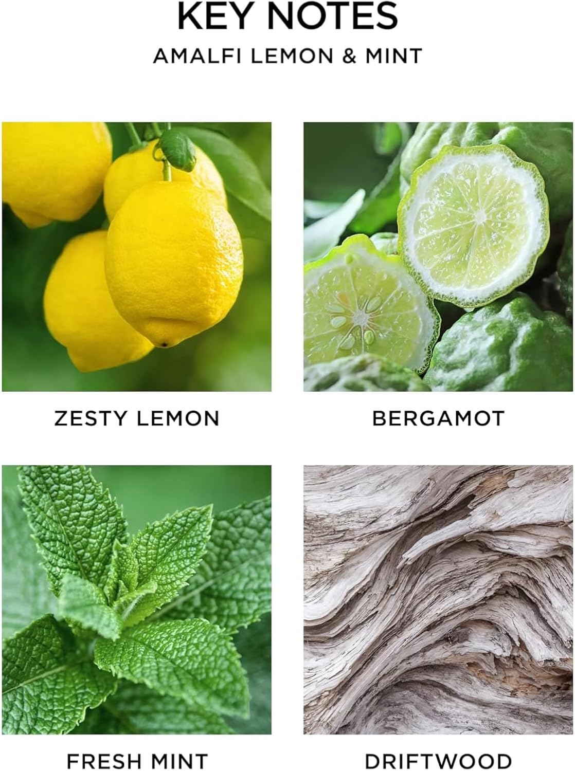 NEST New York Smart Home Fragrance Diffuser Refill Smart Vials, Amalfi Lemon & Mint - Set of 2 - Designed for NEST x Pura 3 and NEST x Pura 4 Diffusers - Cruelty Free, Vegan