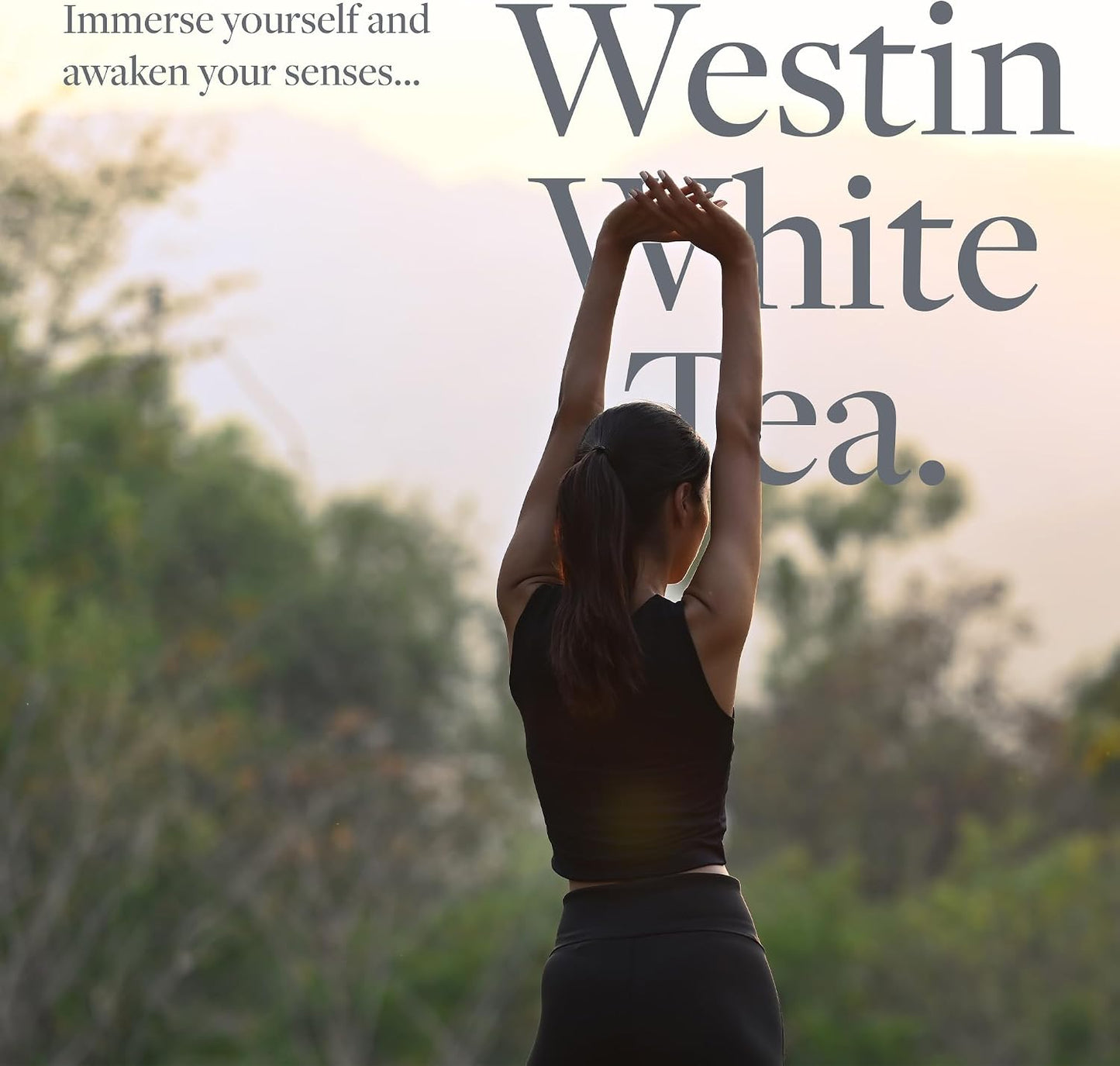 Westin Hotels - White Tea Scent Sachets - 17g (3 sachets)