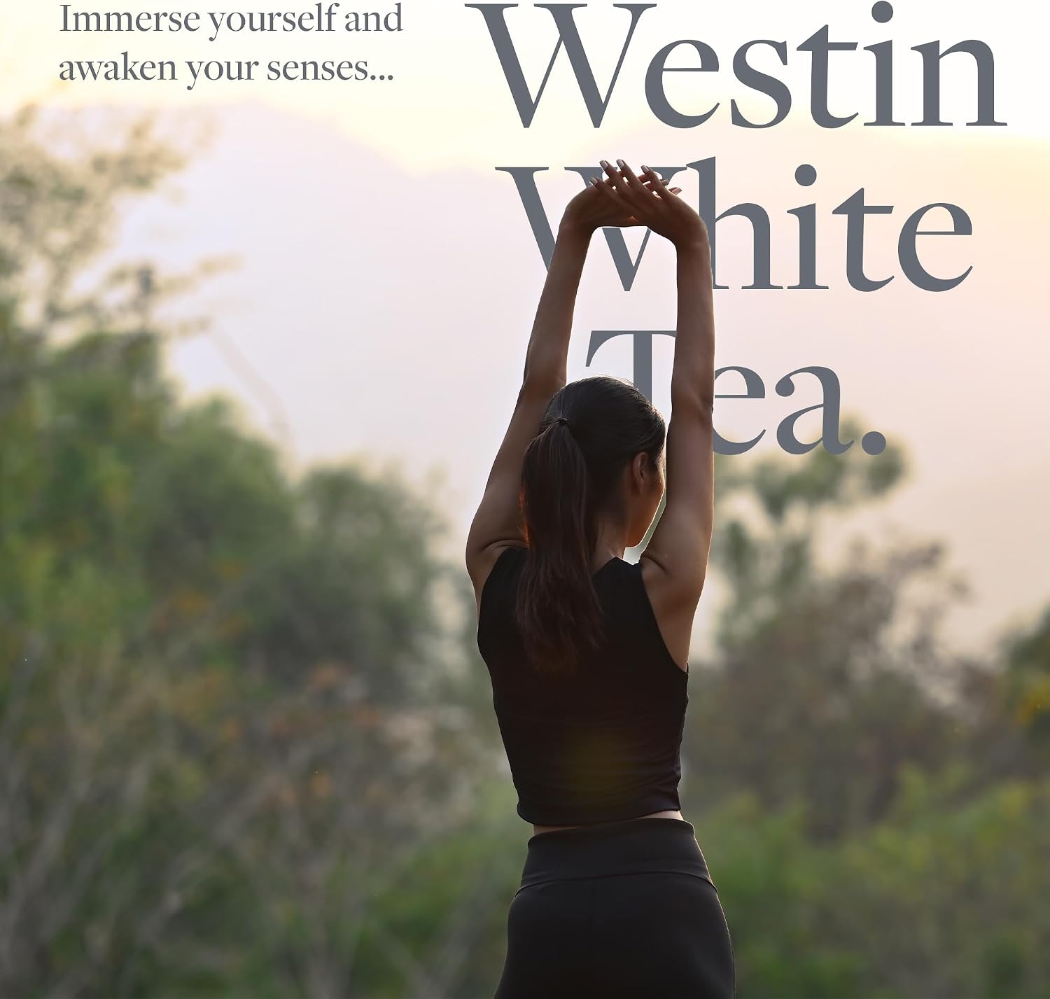 Westin Hotels - White Tea Scent Sachets - 17g (3 sachets)