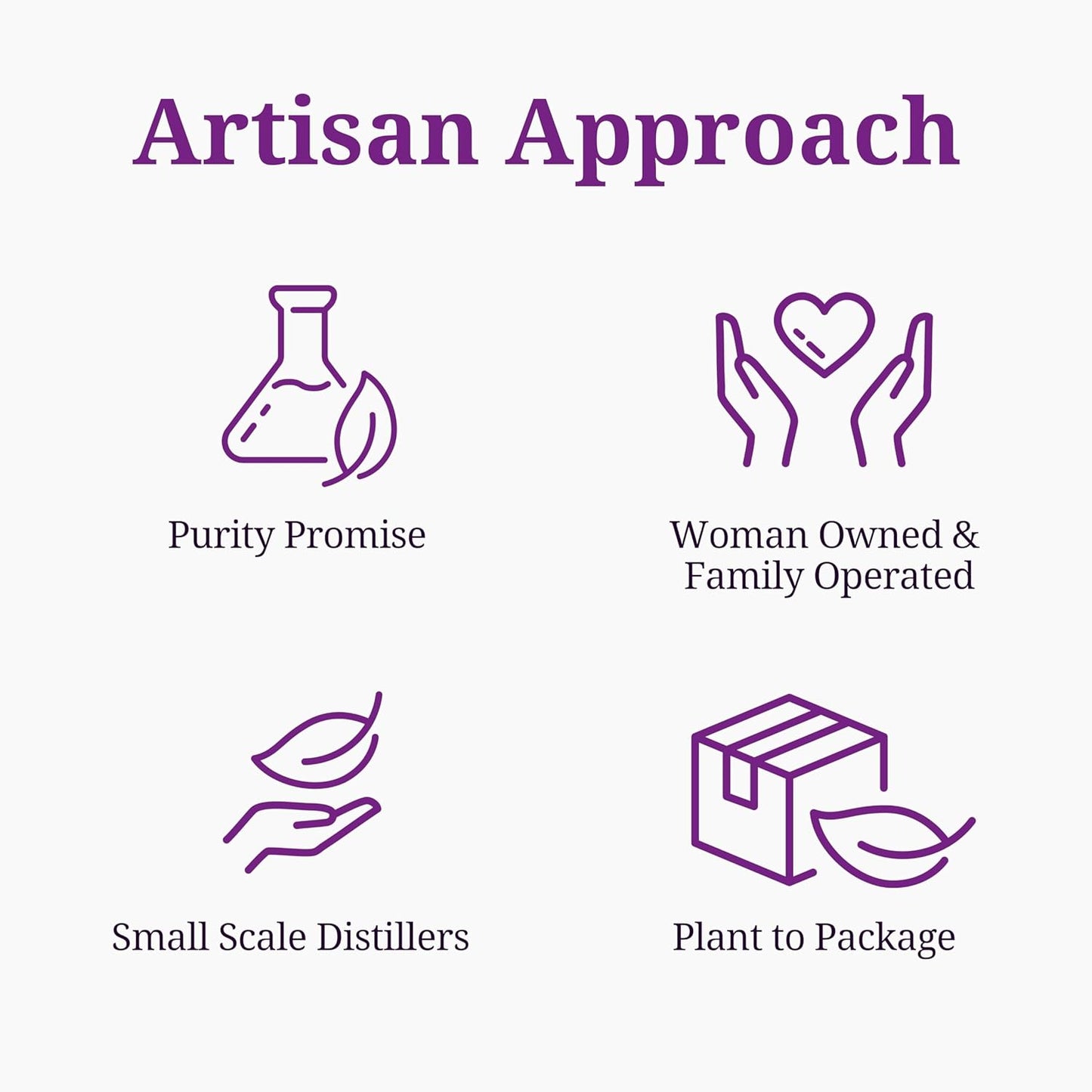 Aromatics International Focus Essential Oil Blend Roll On, 10ml | Aromatherapy Oil for Concentration