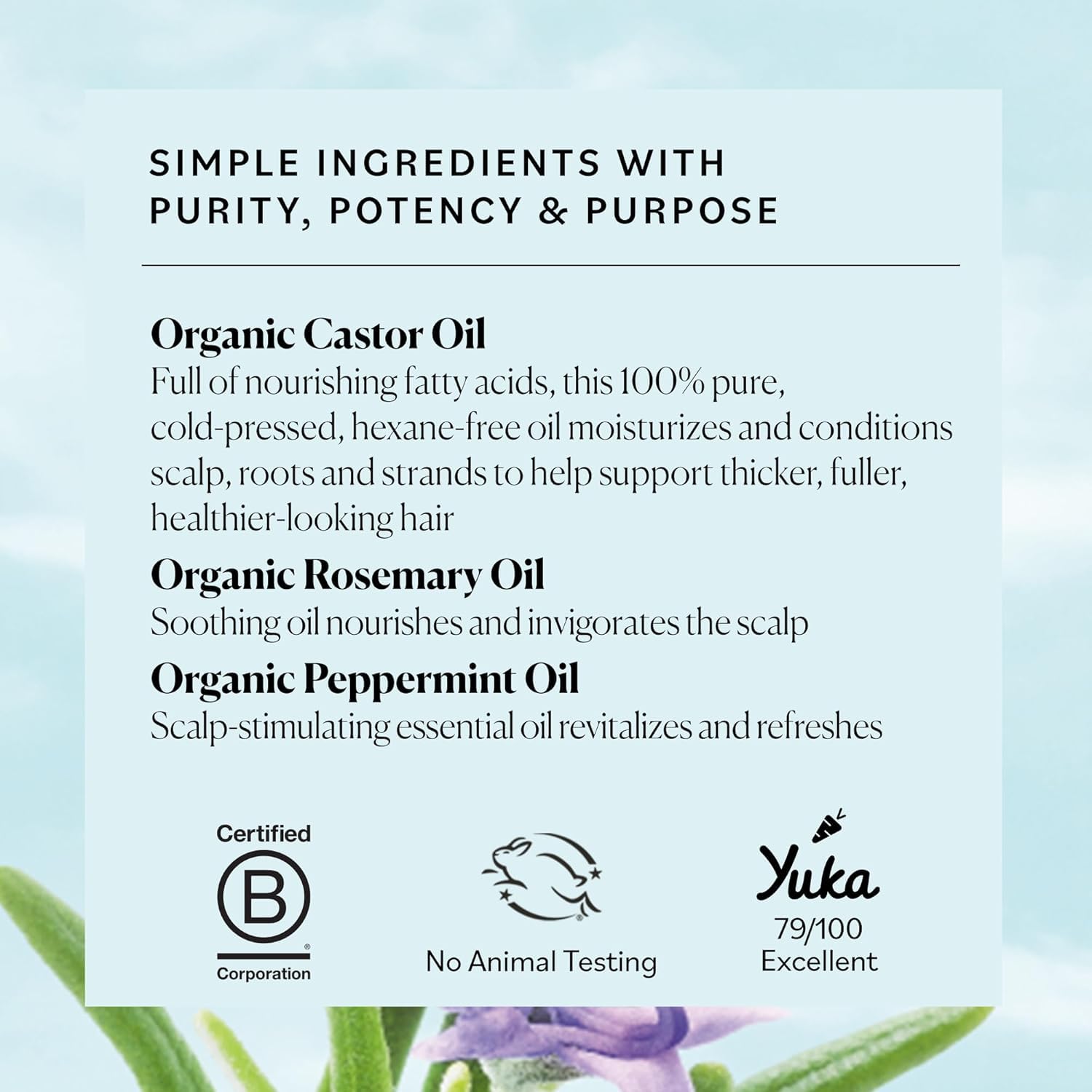 Sky Organics USDA Organic Castor Oil with Rosemary Oil, Strengthening Oil, Pure Potent Blend, Hexane Free, Invigorates Scalp, Supports Stronger, Fuller-Looking Hair, DIY ebook included