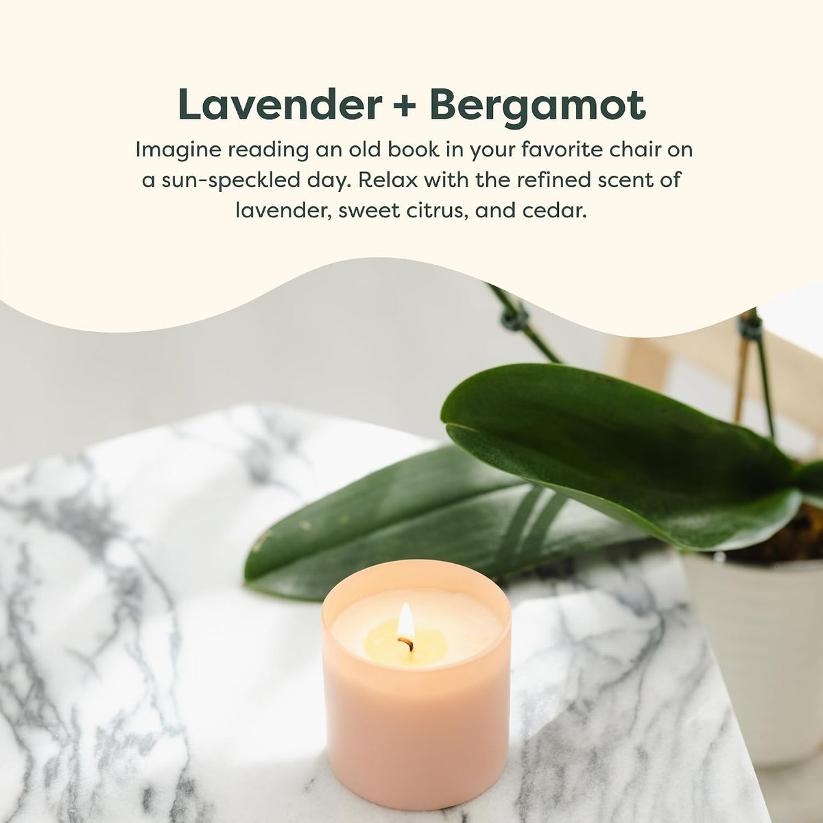 Calyan Wax Co. Dignity Series Lavender & Bergamot Scented Candle