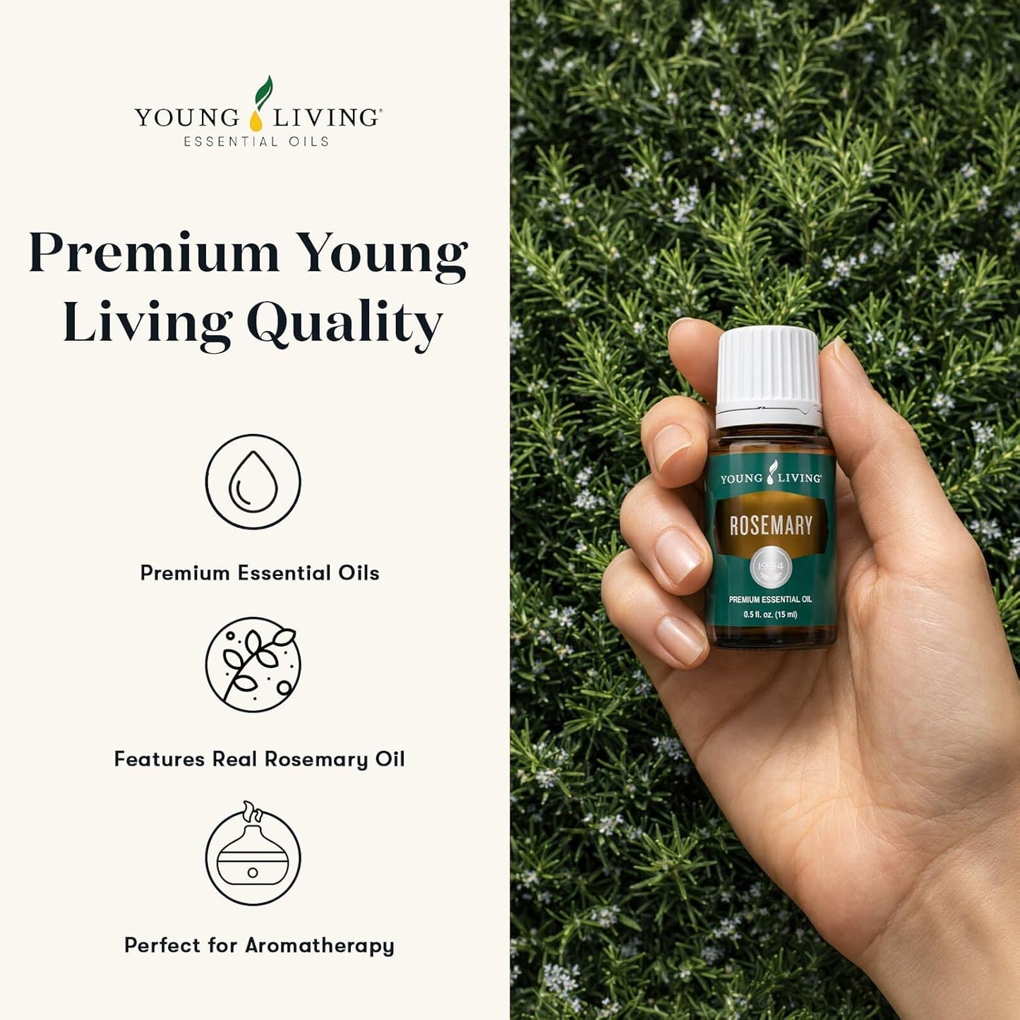 Young Living Rosemary Essential Oil | 15 ml | Crisp, Herbaceous Aroma for Diffusion, Topical Use & Aromatherapy | Supports Cognitive Clarity & Relaxation | Premium Seed to Seal® Essential Oil