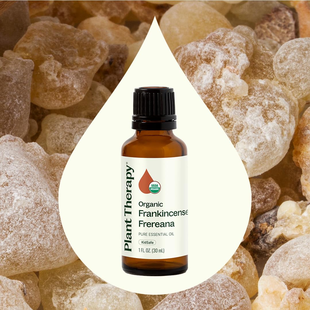 Plant Therapy Organic Frankincense Frereana Essential Oil 30 mL (1 oz), 100% Pure, USDA Certified Organic, Undiluted Aromatherapy Oil for Skin Care, Immune Support & Relaxation