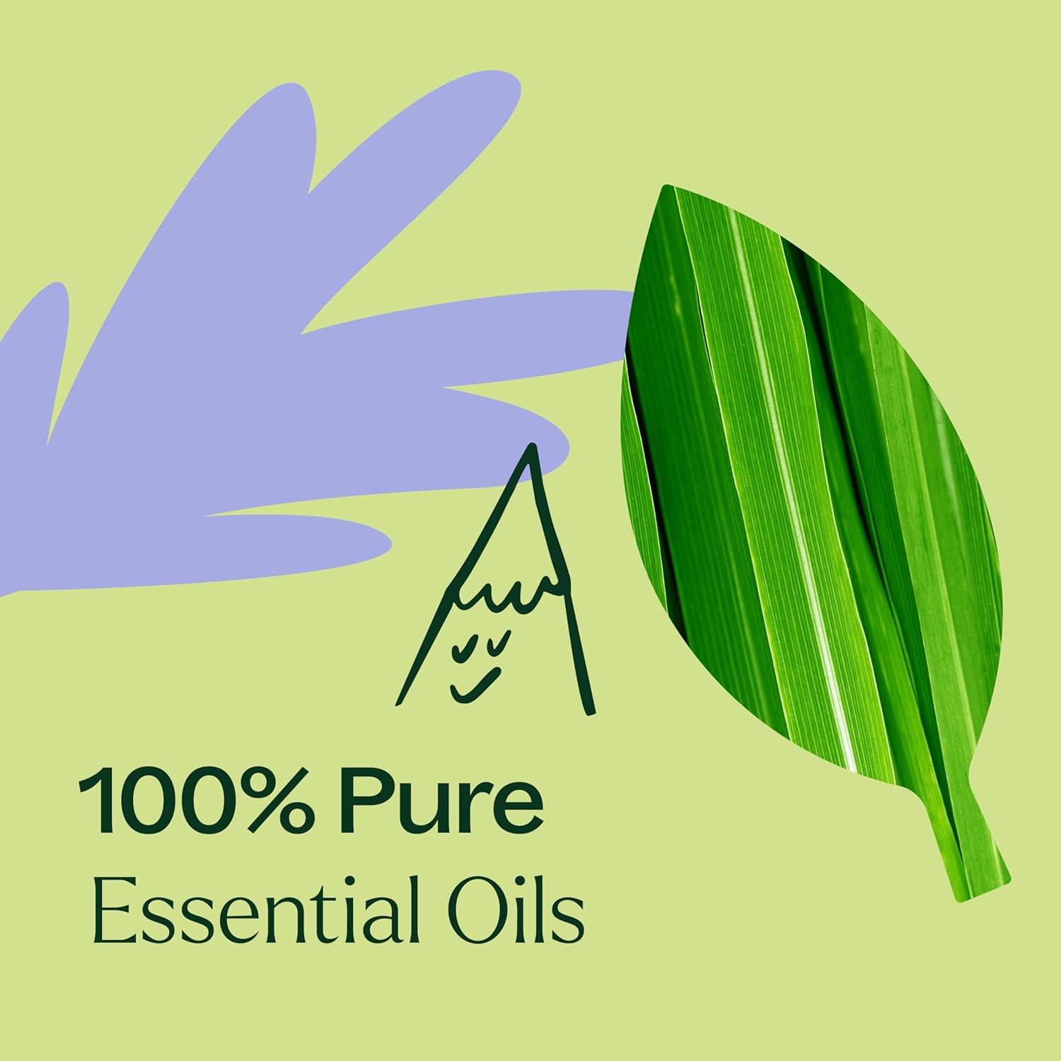 Plant Therapy Balance Essential Oil Blend 10 mL (1/3 oz) Pre-Diluted Roll-On 100% Pure, for Women’s Health and Emotional Support