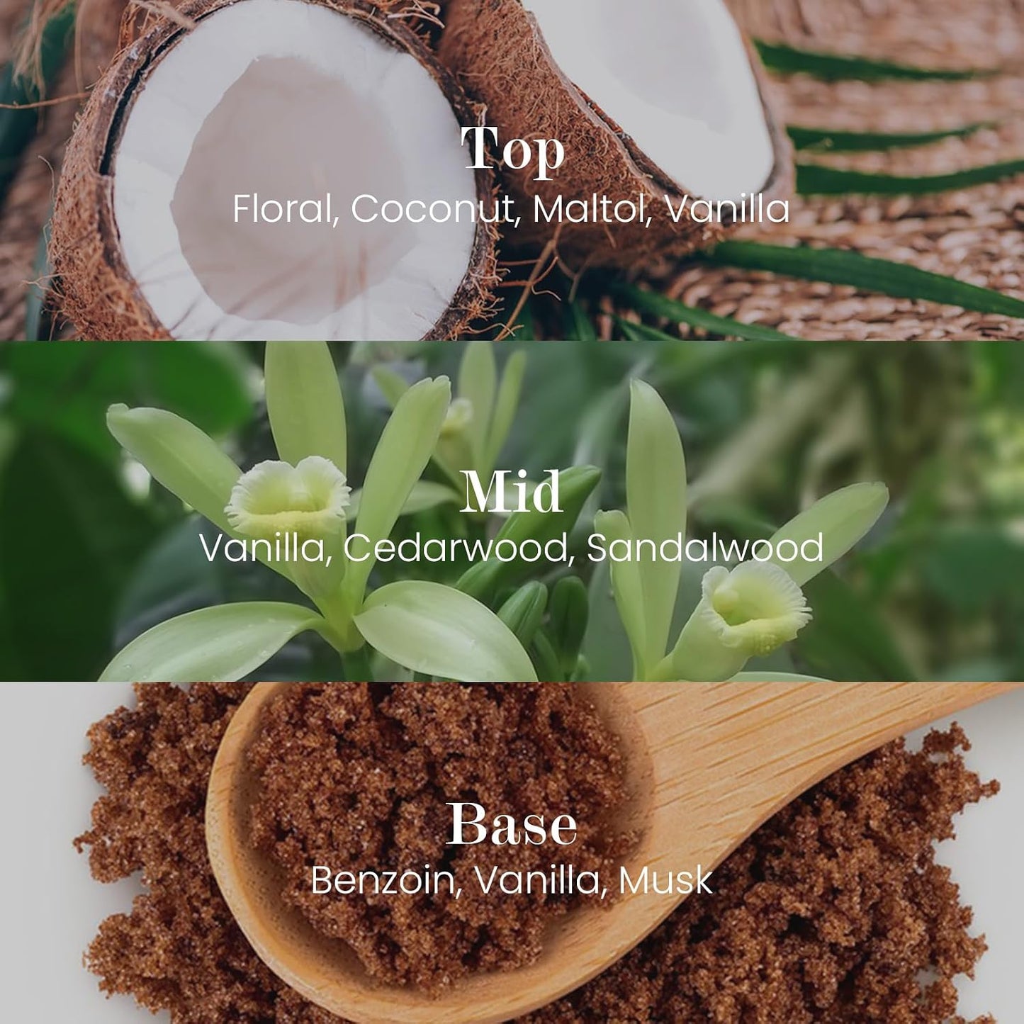 M&SENSE Natural Soy Large Candle| Vanilla Sandalwood | 16.6 oz, 95H Burn | Mini Spring Scented Candles for Relaxation, Meditation, Home Décor | for Bedroom, Office, Party