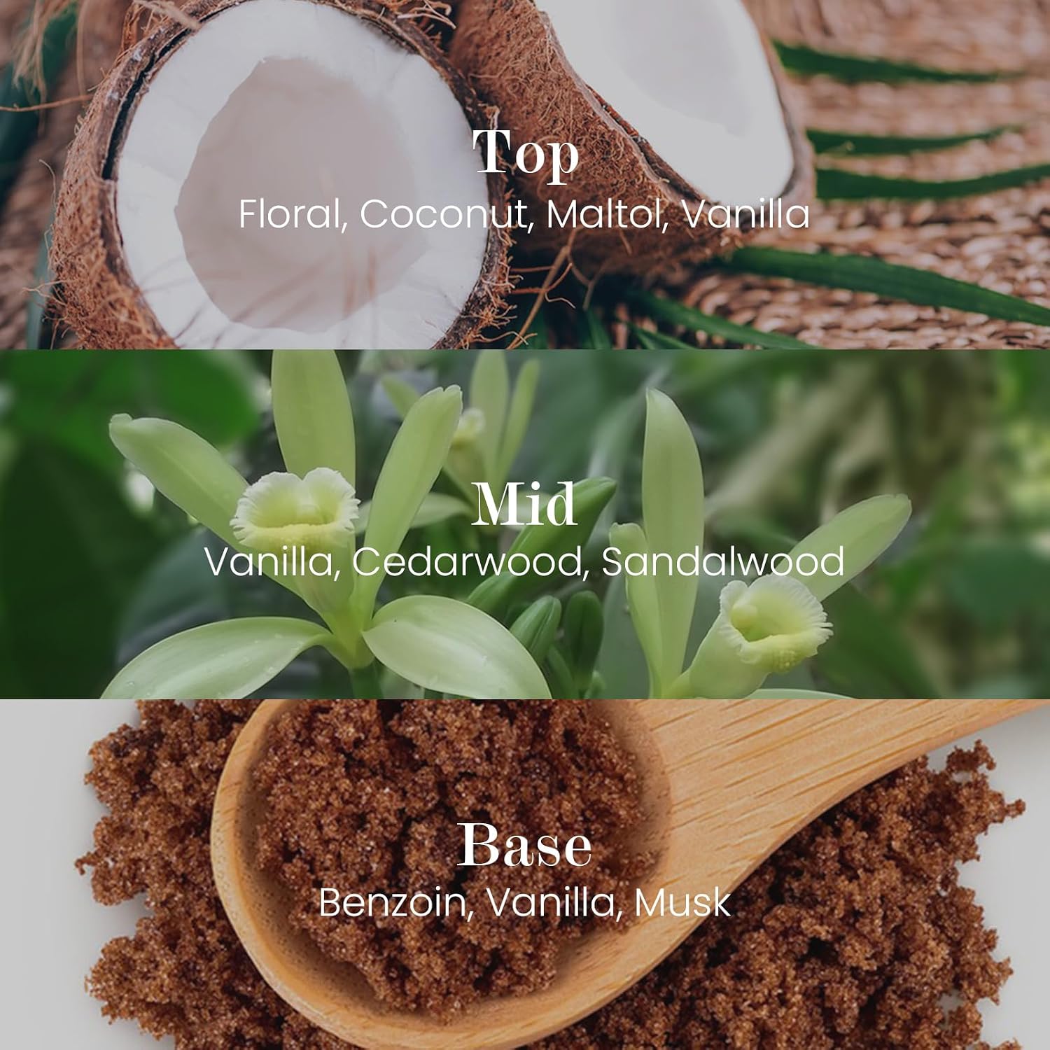M&SENSE Natural Soy Large Candle| Vanilla Sandalwood | 16.6 oz, 95H Burn | Mini Spring Scented Candles for Relaxation, Meditation, Home Décor | for Bedroom, Office, Party