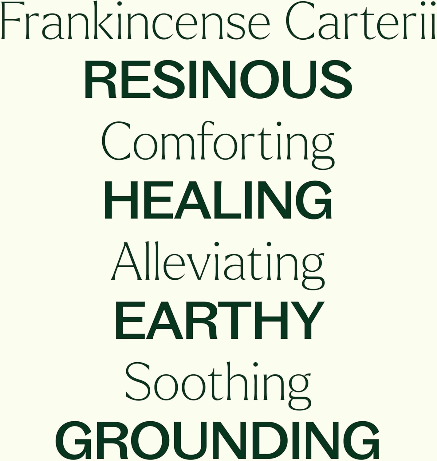 Plant Therapy Frankincense Carterii Essential Oil 10 mL (1/3 oz), 100% Pure, Undiluted, Natural Aromatherapy, Soothing Essential Oil for Meditation, Skin Irritation, and Sore Muscle Relief