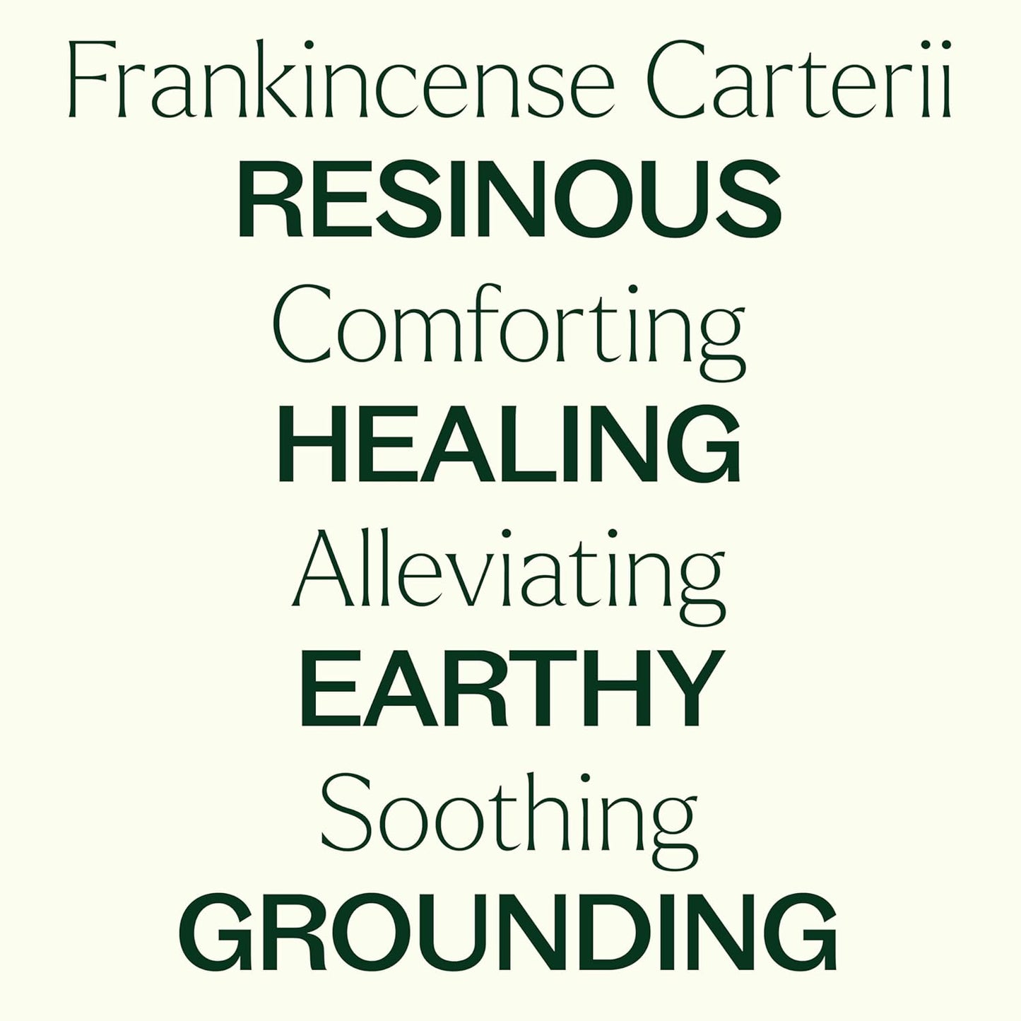 Plant Therapy Frankincense Carterii Essential Oil 30 mL (1 oz), 100% Pure, Undiluted, Natural Aromatherapy, Soothing Essential Oil for Meditation, Skin Irritation, and Sore Muscle Relief