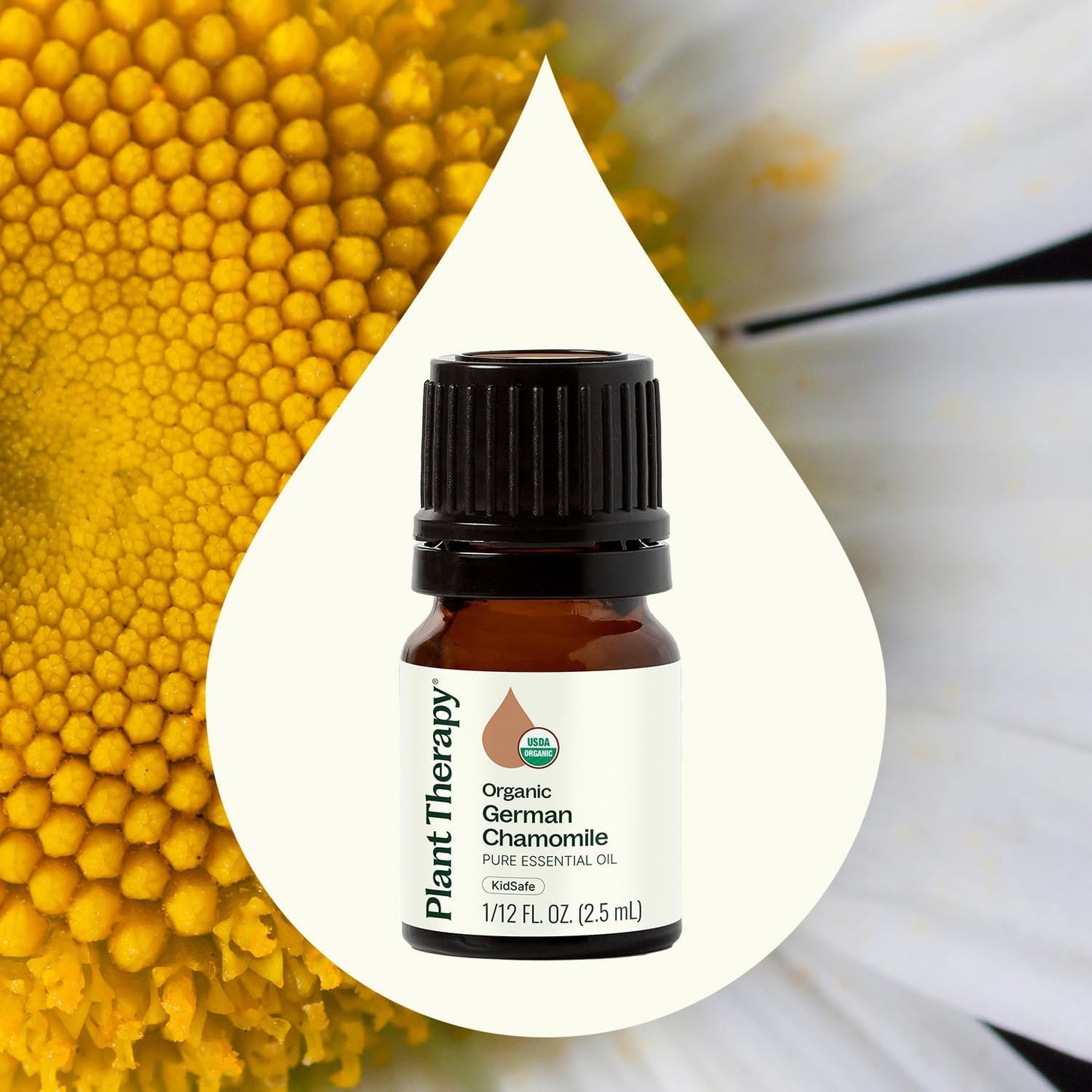 Plant Therapy Organic German Chamomile Essential Oil, 2.5 mL (1/12 oz), 100% Pure and Undiluted, Aromatherapy to Promote a Tranquil Atmosphere