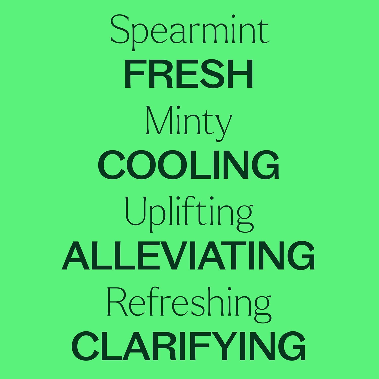 Plant Therapy USDA Certified Organic Spearmint Essential Oil 10 mL (1/3 oz) 100% Pure, Undiluted, Digestive Health, Fresh Scent
