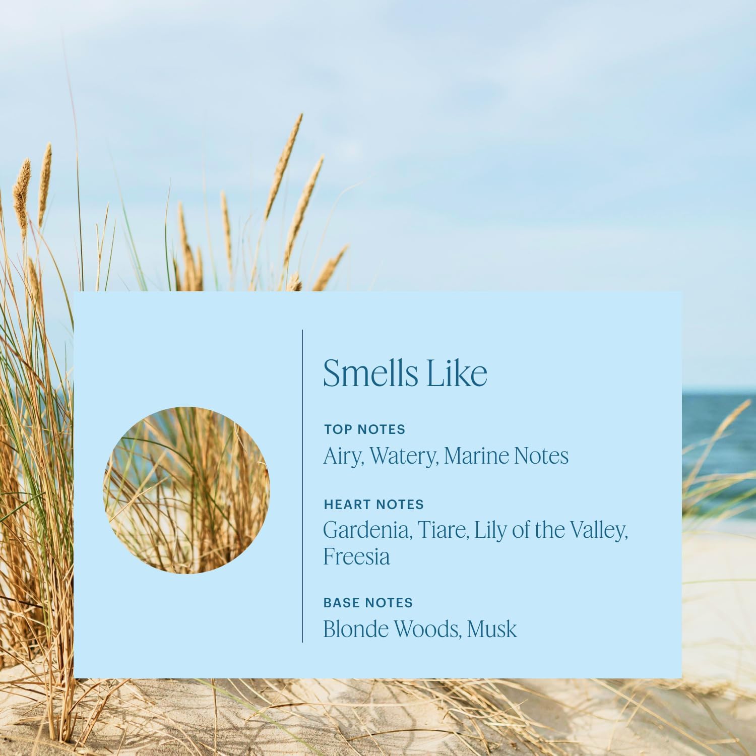 Aera Beach House – Essential Oil for Home Diffuser - Notes of Ocean Air, Gardenia, Tiare, & Lily of the Valley – Summer Fragrance Capsule Refill - Works with The Aera Diffuser (25mL)