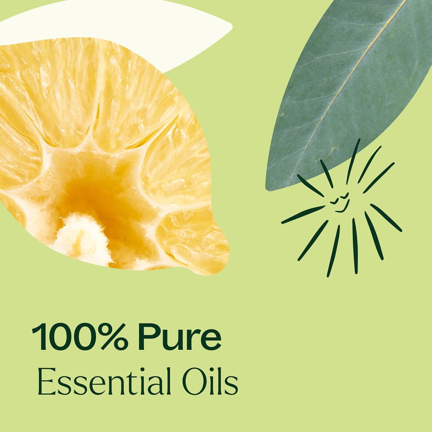 Plant Therapy Immune Aid Essential Oil Blend 30 mL (1 oz) 100% Pure, Undiluted, Natural Aromatherapy, Natural Immune Support, Fresh Scent