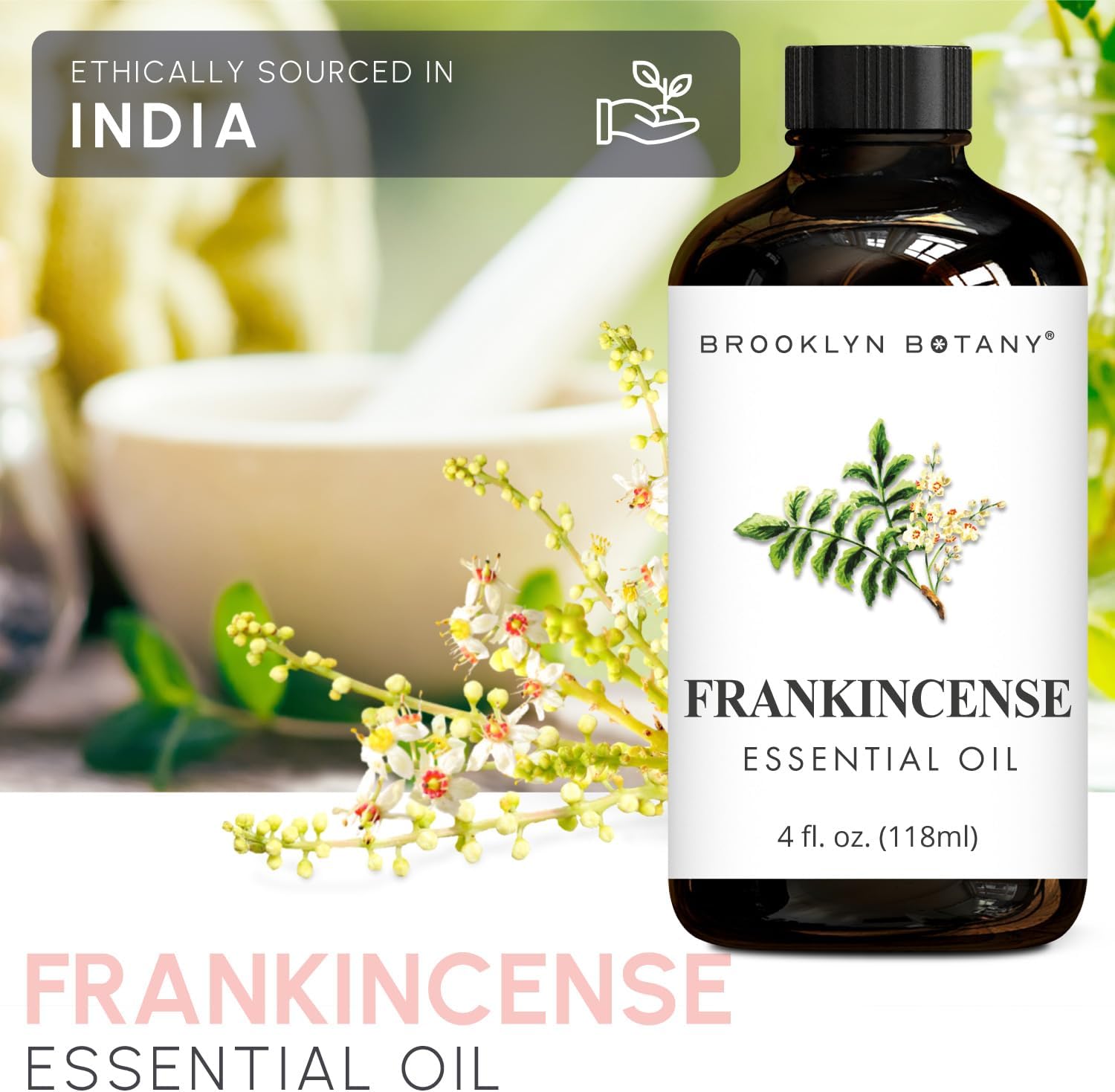 Brooklyn Botany Clove & Frankincense Essential Oils – 4 Fl Oz (Pack of 2) – 100% Pure & Natural – Comforting & Grounding Aromatherapy Blend