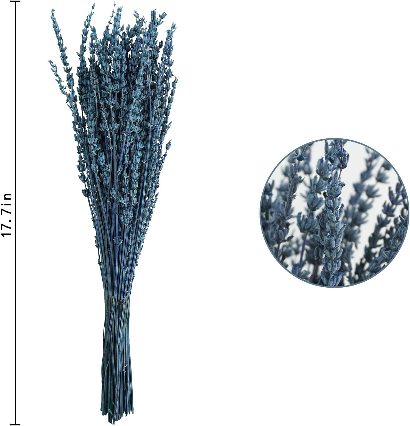 Uieke Dried Lavender Flowers, 16" Preserved Dried Lavender Bundles Blue Flowers Bouquet for Shower Weeding Home Fragrance Vase Crafts Decor, 200g(7.05oz)