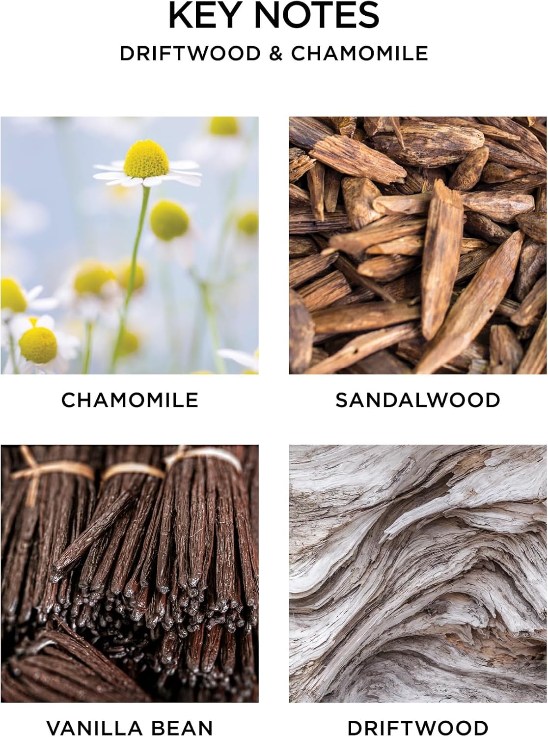NEST New York Smart Home Fragrance Diffuser Refill Smart Vials, Driftwood & Chamomile - Set of 2 - Designed for NEST x Pura 3 and NEST x Pura 4 Diffusers - Cruelty Free, Vegan