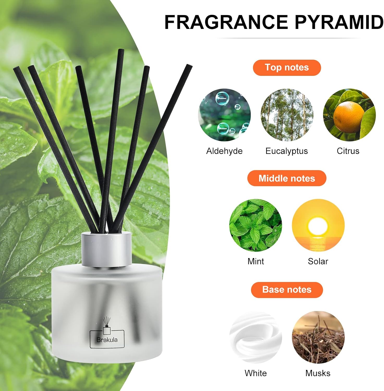 Brakula Eucalyptus & Mint Reed Diffuser Set, Home Fragrance Oil Diffuser with 8 Sticks for Room Decor, 3.4 oz/100 ml