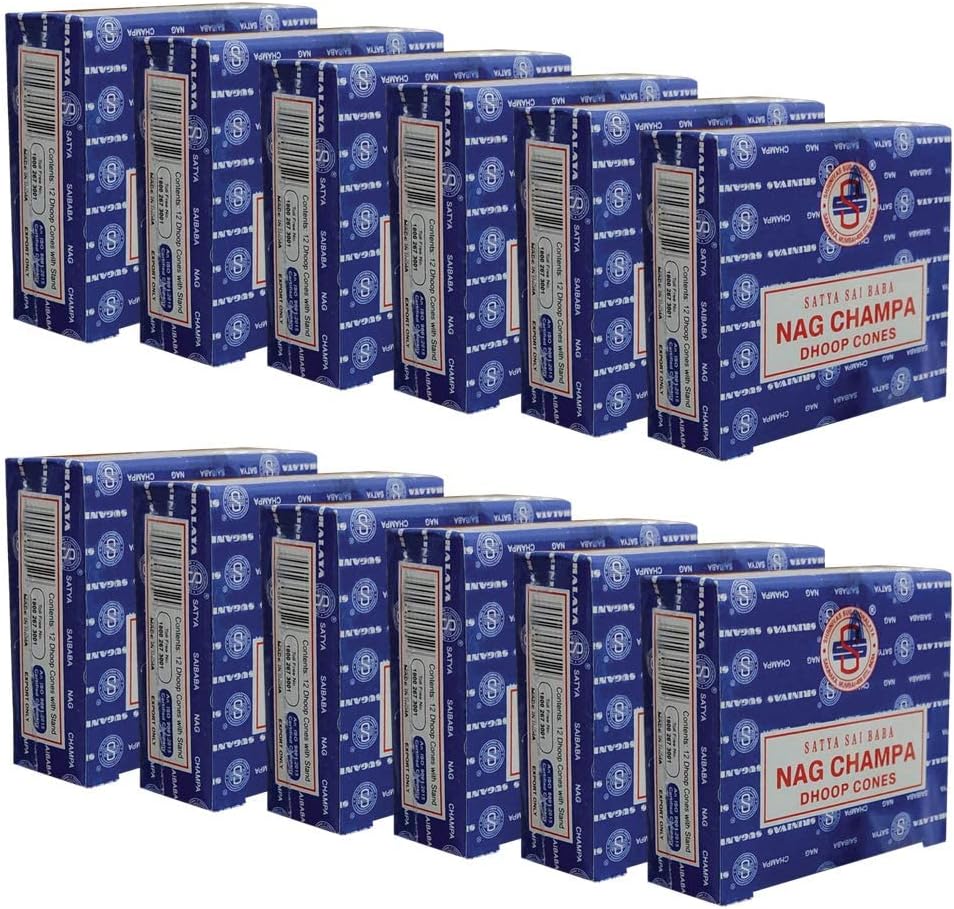 Nag Champa Incense Cones and Cone Incense Burner Bundle Insence Insense Satya Incense