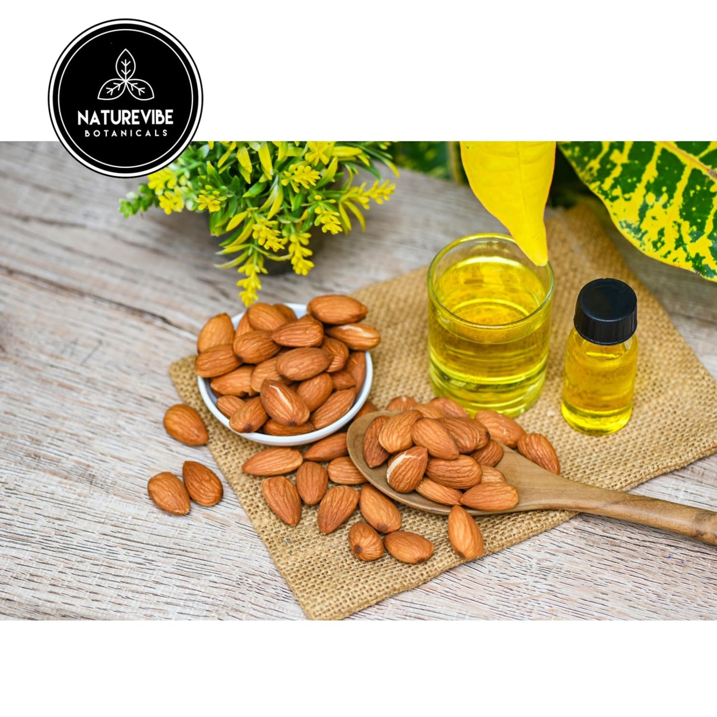 Naturevibe Botanicals Sweet Almond Oil 32oz and Fractionated Coconut Oil 32oz |Oil Combo