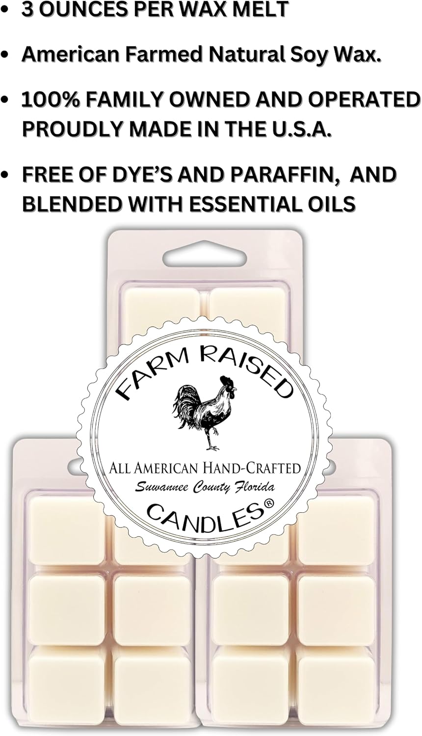 Soy Wax Melts 3-Pack (9 oz) | 100% American Soy Wax • Hand-Poured (Apple Cinnamon 3 Pack)