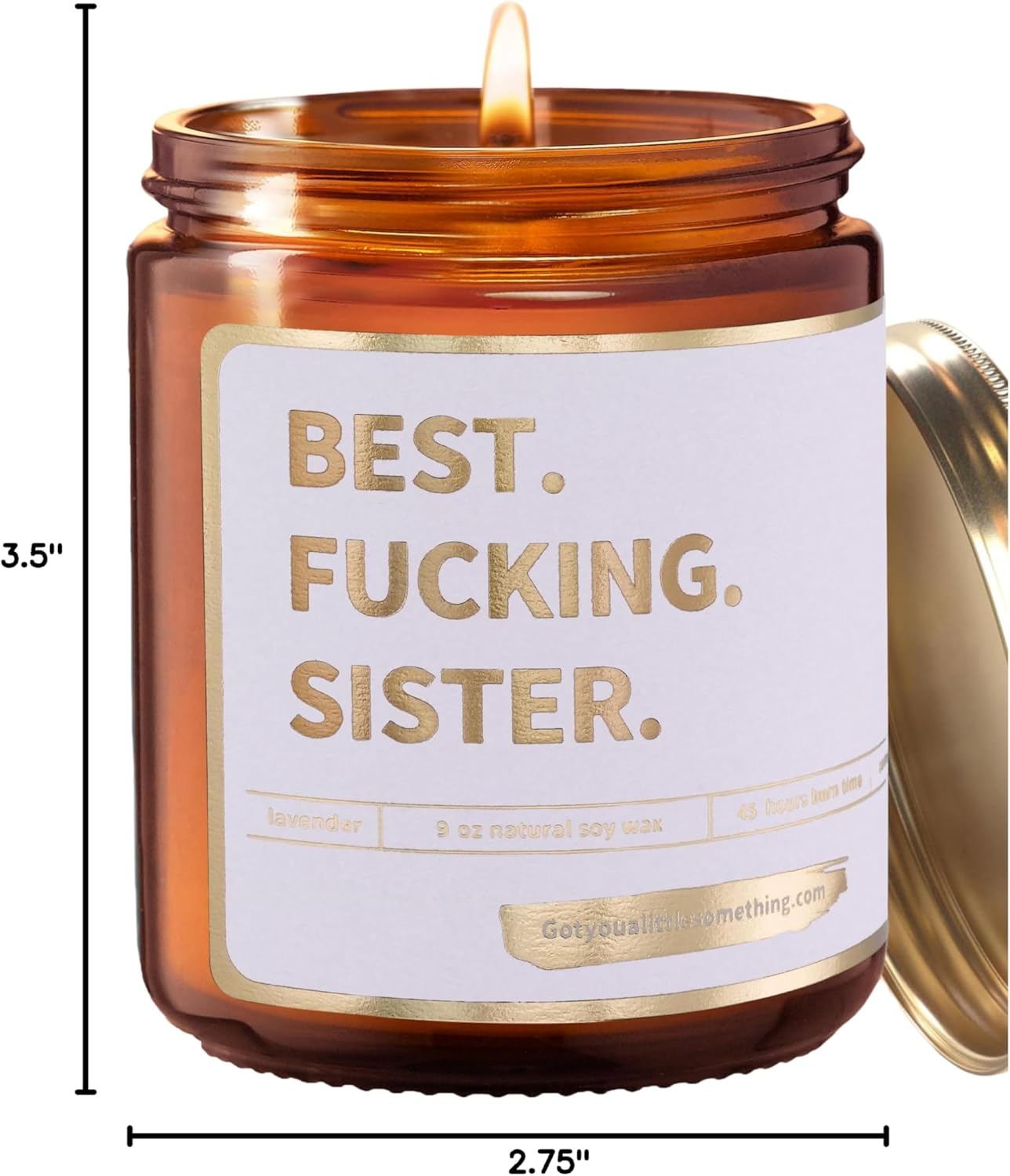 Best Sister Ever Scented Candle - Funny Birthday Gifts for Sister from Sisters - Sister Birthday Gift for Women - Cool Sisters Candle for Bonus Stepsister, Step Sis in Law Present from Brother