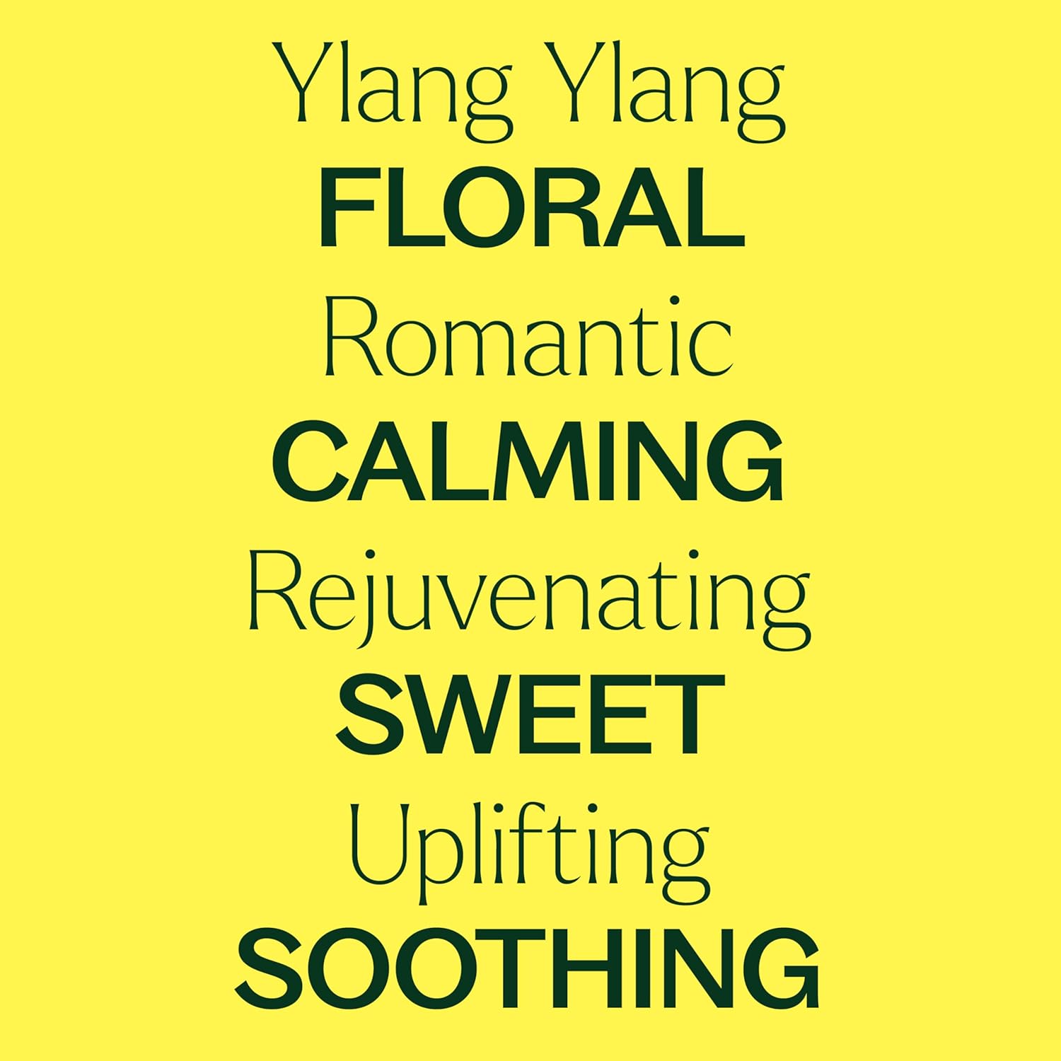 Ylang Ylang Complete Organic Essential Oil 10 mL (1/3 oz),100% Pure, USDA Certified Organic, Undiluted, Natural Aromatherapy, Romantic, Soothing Scent