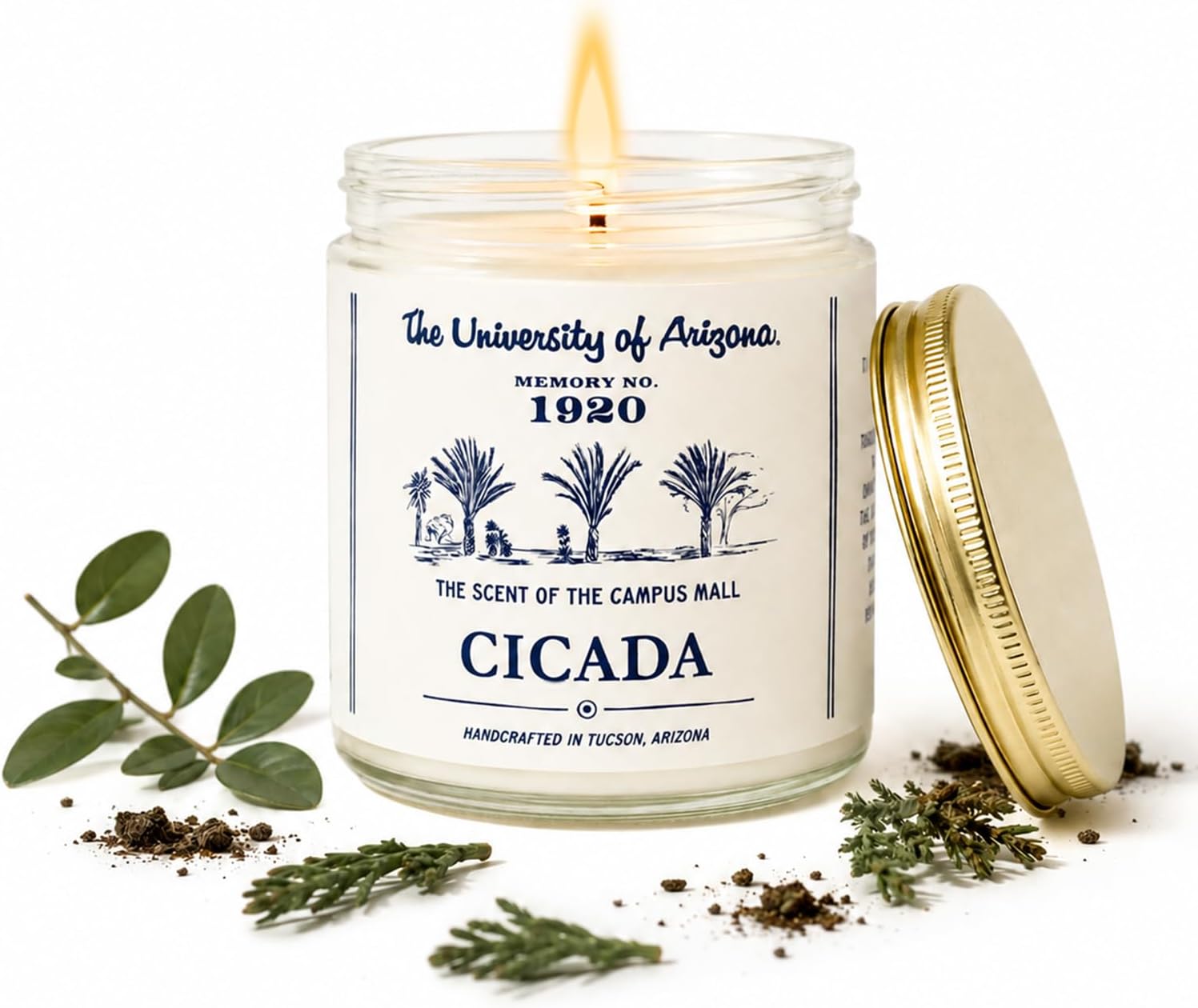 CICADA Campus Mall Scented Candle, Memory No. 1920, University of Arizona Inspired Coconut-Soy Blend Wax, Fresh Cut Grass Green Stems Desert Air Aroma, Hand Poured Arizona Reveries Home Fragrance