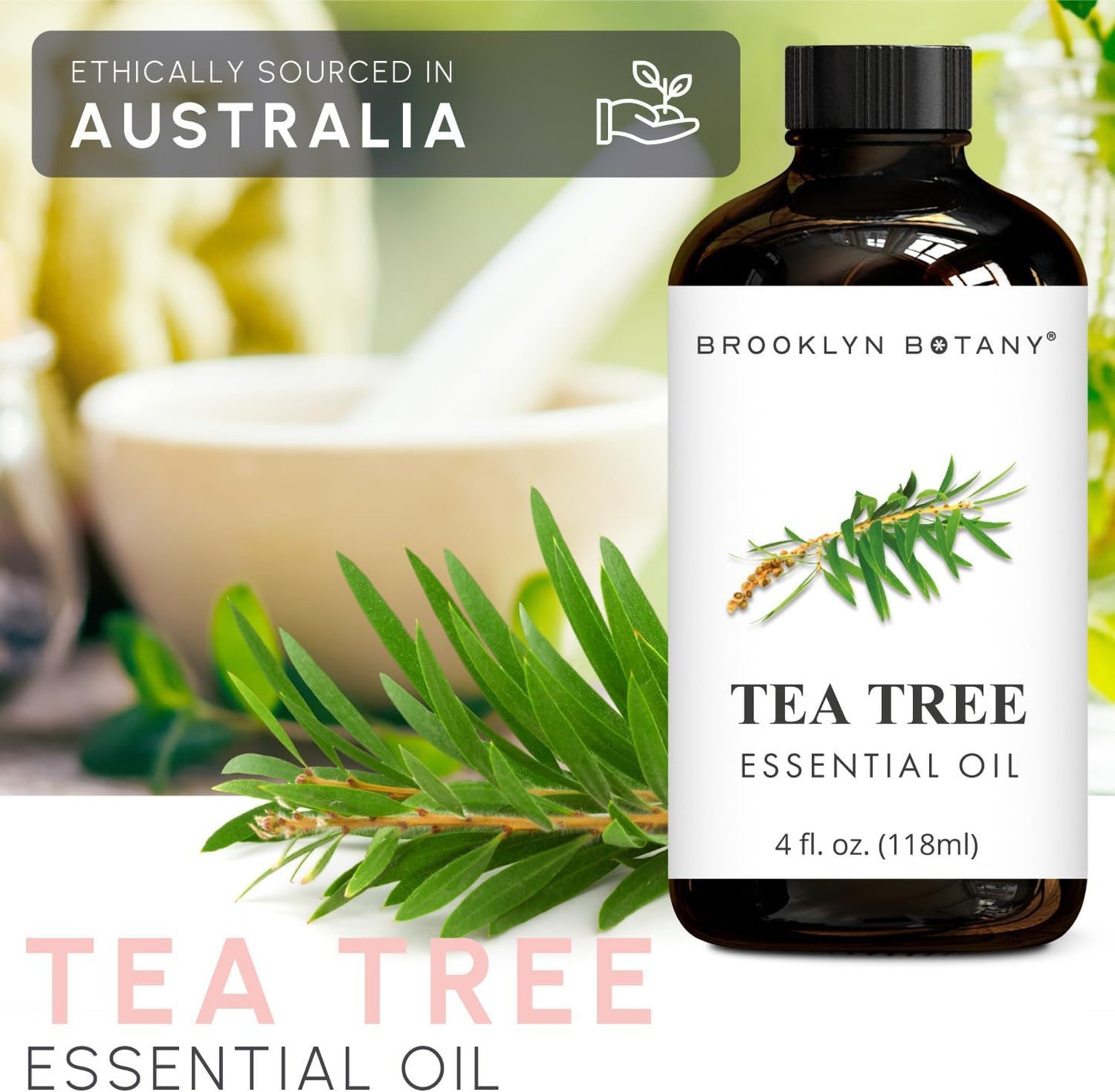 Brooklyn Botany Lavender & Tea Tree Essential Oils – 4 Fl Oz (Pack of 2) – 100% Pure & Natural – Calming & Purifying Aromatherapy Oils