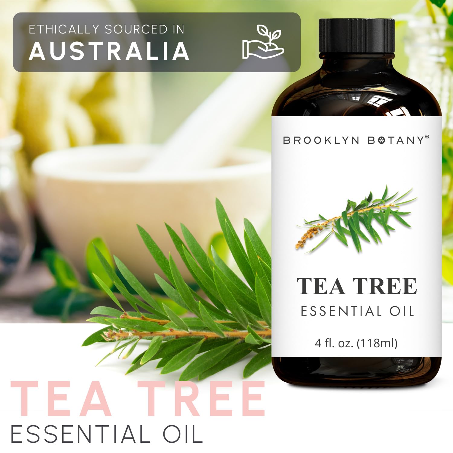 Brooklyn Botany Frankincense & Tea Tree Essential Oils – 4 Fl Oz (Pack of 2) – 100% Pure & Natural – Purifying & Grounding Aromatherapy Blend