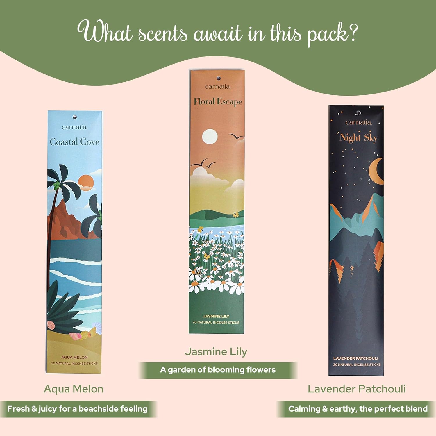 Carnatia Into the Nature Incense Sticks – Set of 6 Fresh, Earthy Scents for Stress Relief, Inner Peace & Clarity | Natural, Long-Lasting Aromas to Reconnect with the Earth Like Never Before!