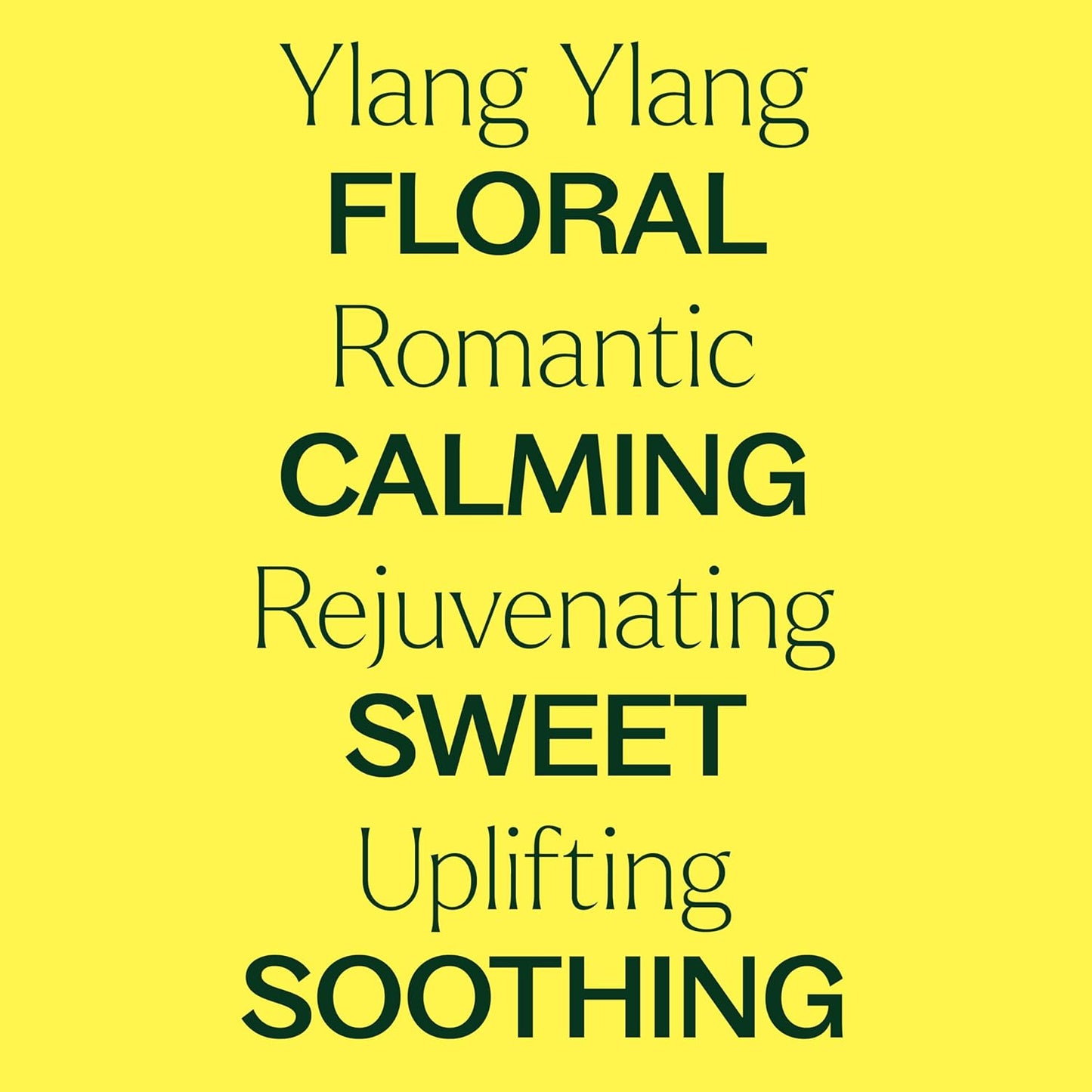 Plant Therapy Ylang Ylang Complete Essential Oil, 10 mL (1/3 oz), 100% Pure and Undiluted, Natural Aromatherapy, for Essential Oil Diffusers and DIY Skin Care