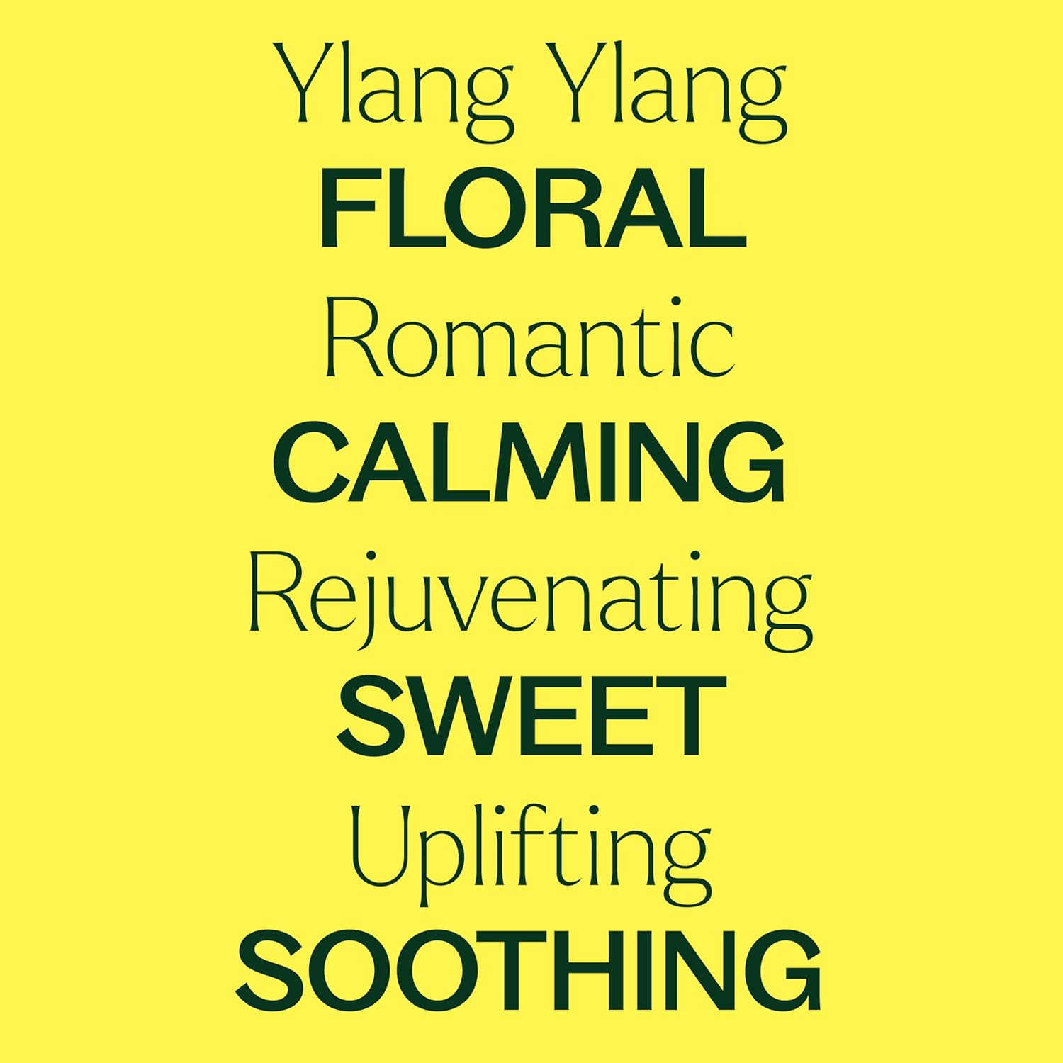Plant Therapy Ylang Ylang Complete Essential Oil, 10 mL (1/3 oz), 100% Pure and Undiluted, Natural Aromatherapy, for Essential Oil Diffusers and DIY Skin Care