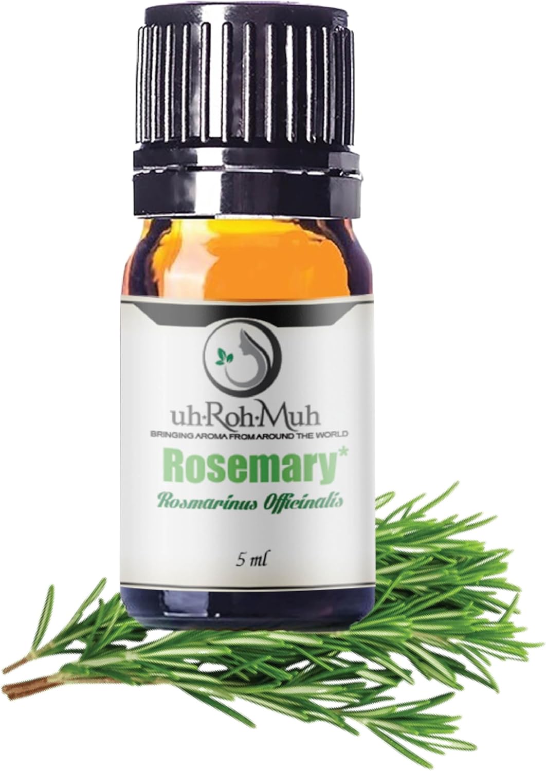 Organic Rosemary Essential Oil Chemotype Cineole | 100% Pure Steam Distilled Rosemary Oil | Fresh Herbaceous Aroma for Diffuser Aromatherapy, Massage Blends & DIY Recipes | Spain – 5ml