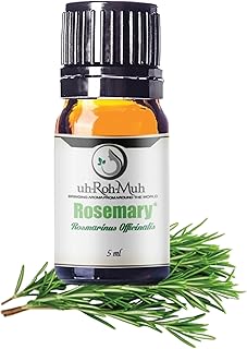 Organic Rosemary Essential Oil Chemotype Cineole | 100% Pure Steam Distilled Rosemary Oil | Fresh Herbaceous Aroma for Diffuser Aromatherapy, Massage Blends & DIY Recipes | Spain – 5ml