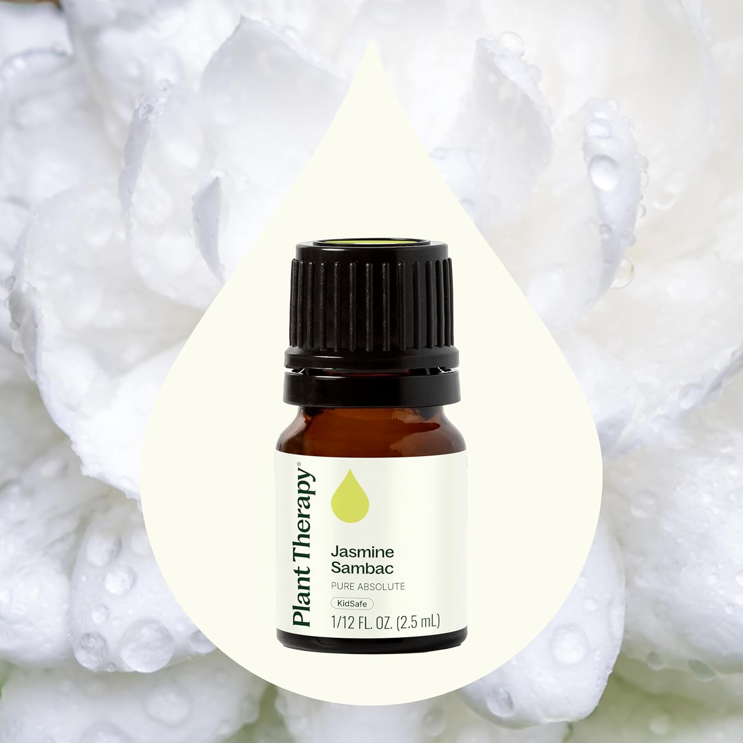 Plant Therapy Jasmine Sambac Absolute Essential Oil, 2.5 mL (1/12 oz), 100% Pure and Undiluted, Great for Skin Care DIYs and Aromatherapy